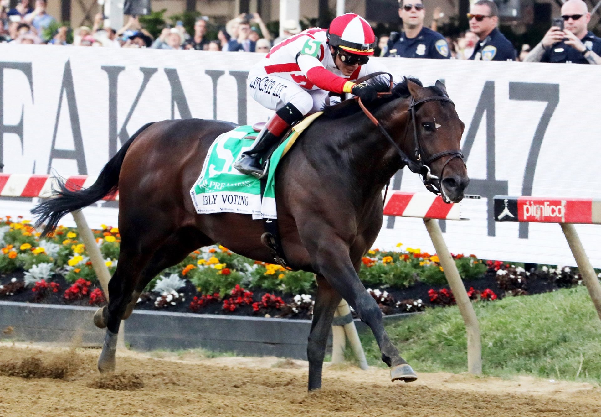 Early Voting Winning The G1 Preakness
