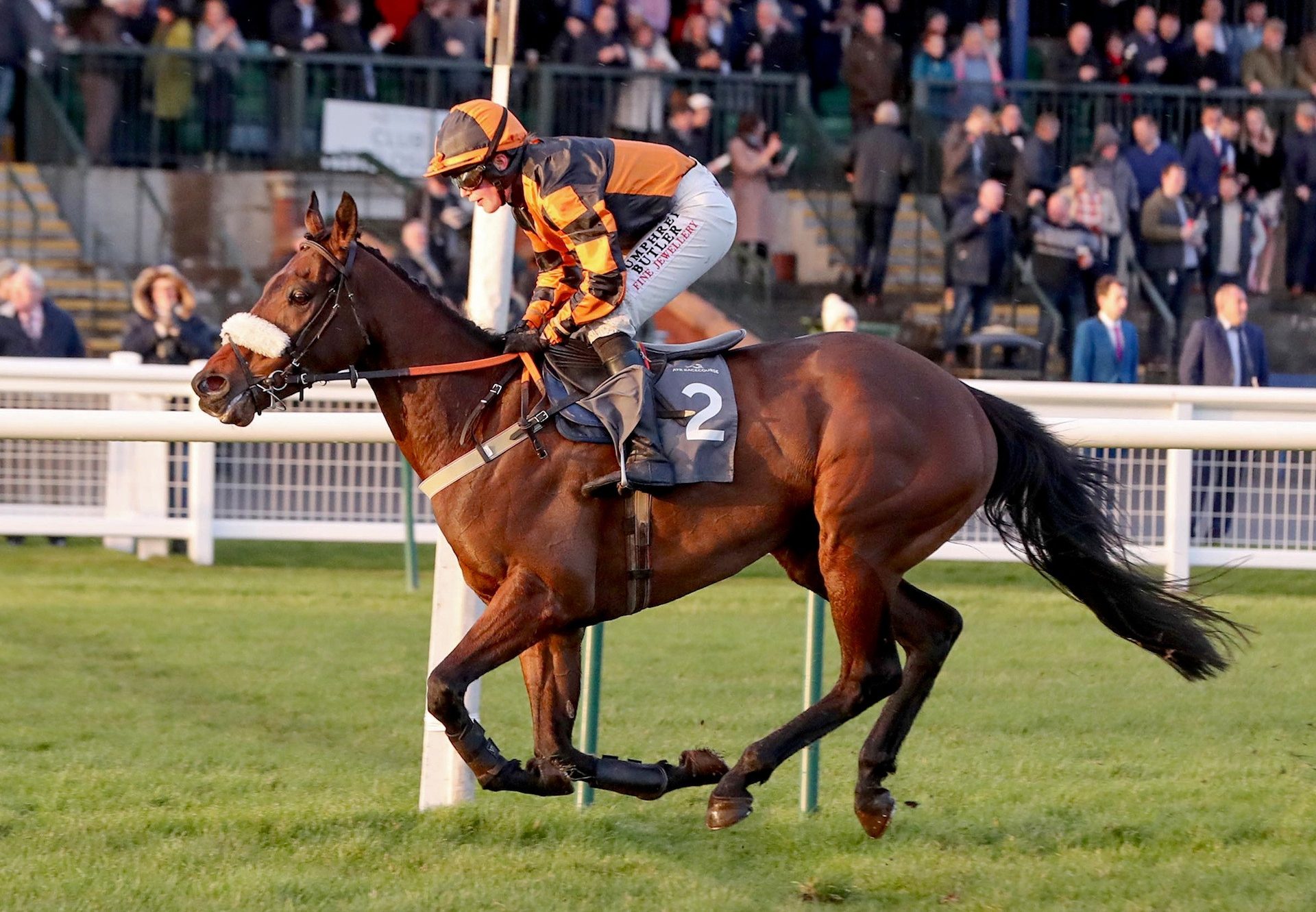 Ebony Jewel (Westerner) Wins Impressively At Ayr