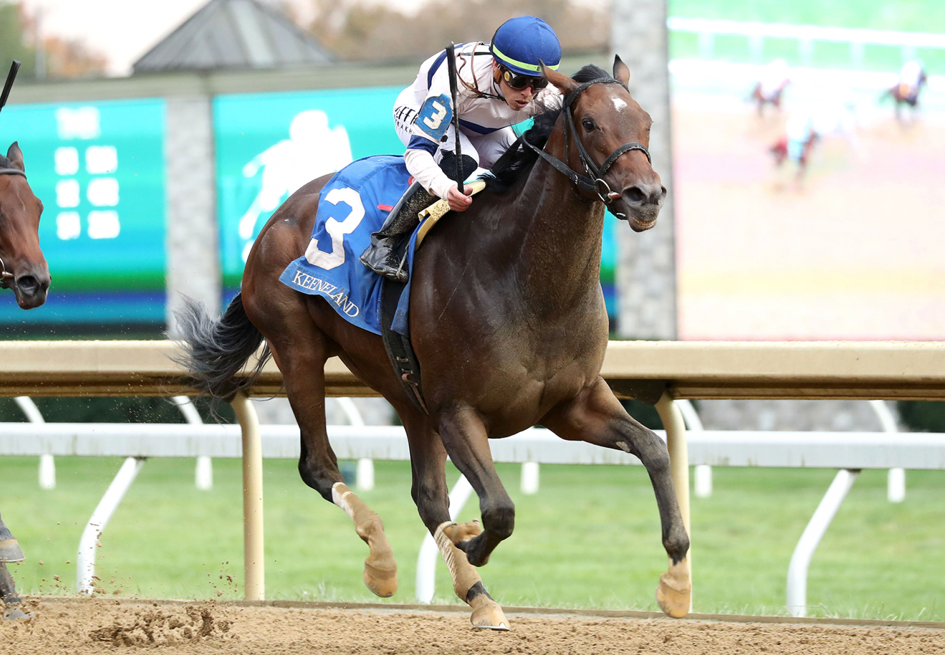 Echo Sound (Echo Town) Wins Myrtlewood