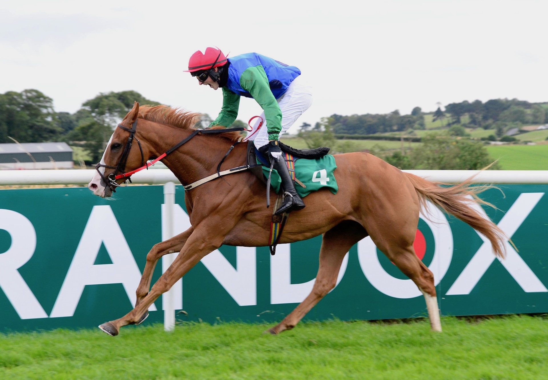 Eco Pete (Leading Light) Wins The Bumper At Downpatrick