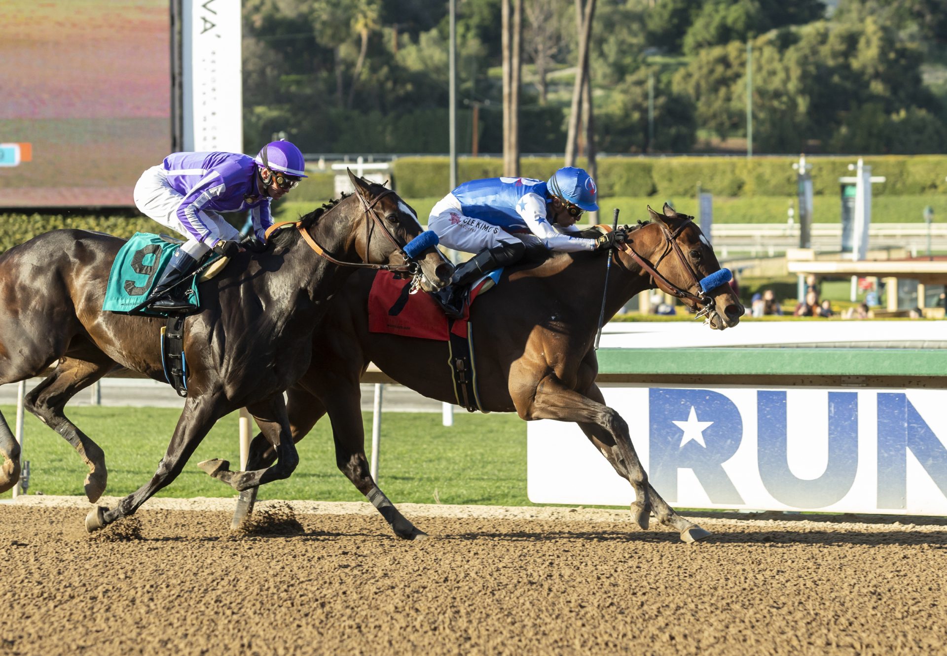 Eda (Munnings) Gr.3 Santa Ysabel Stakea at Santa Anita