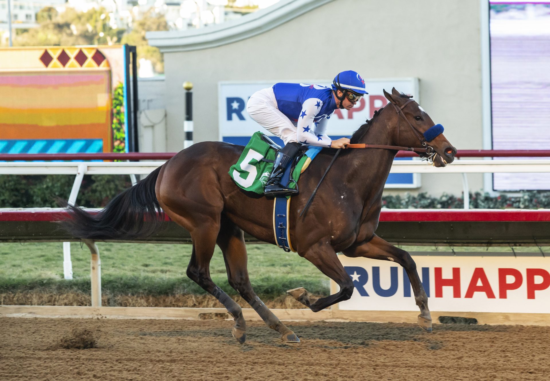 Eda (Munnings) winning the Des Arnaz Stakes at Del Mar