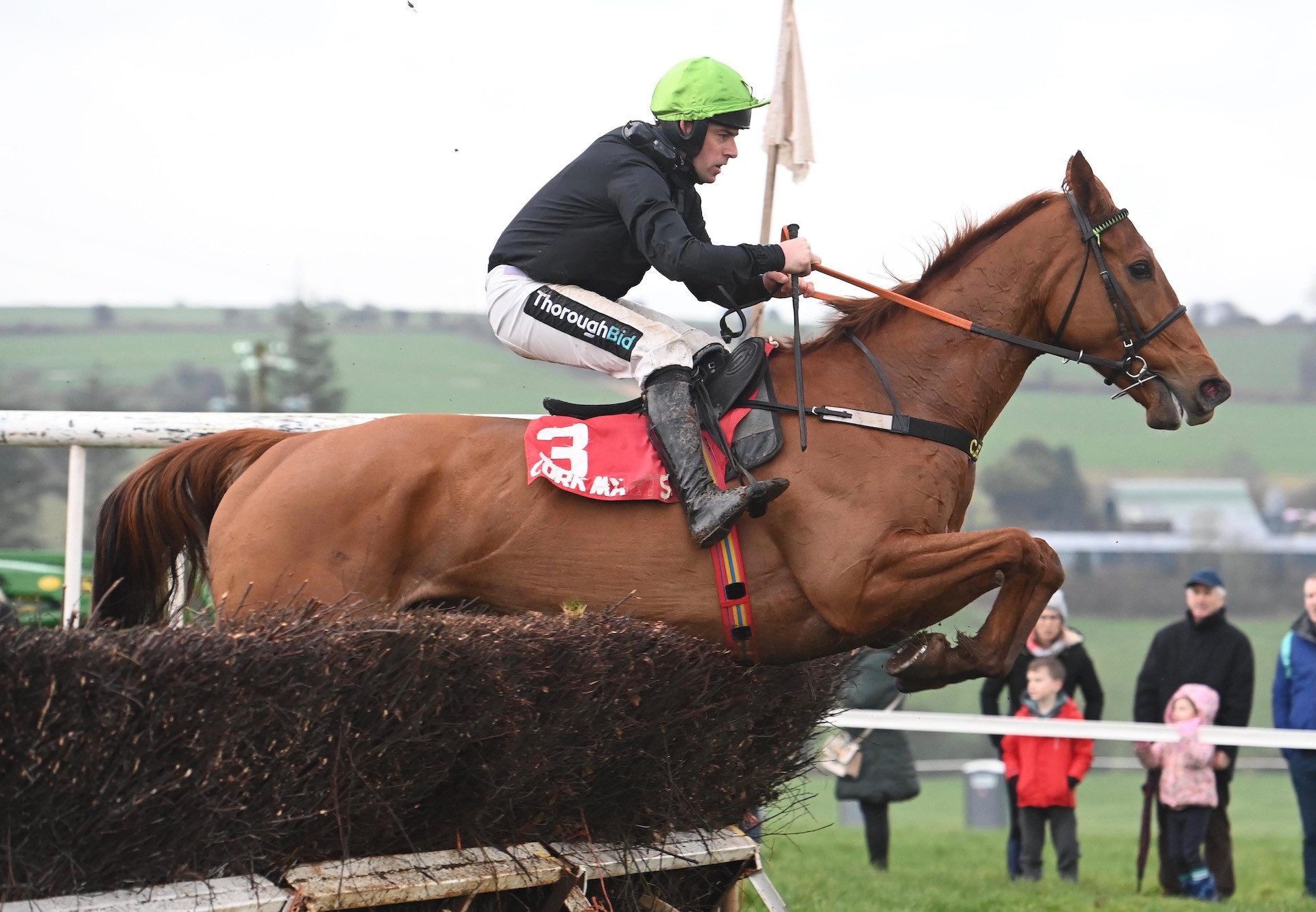 El Rojo Grande (Ocovango) Wins The Five Year Old Geldings Maiden At Aghabullogue