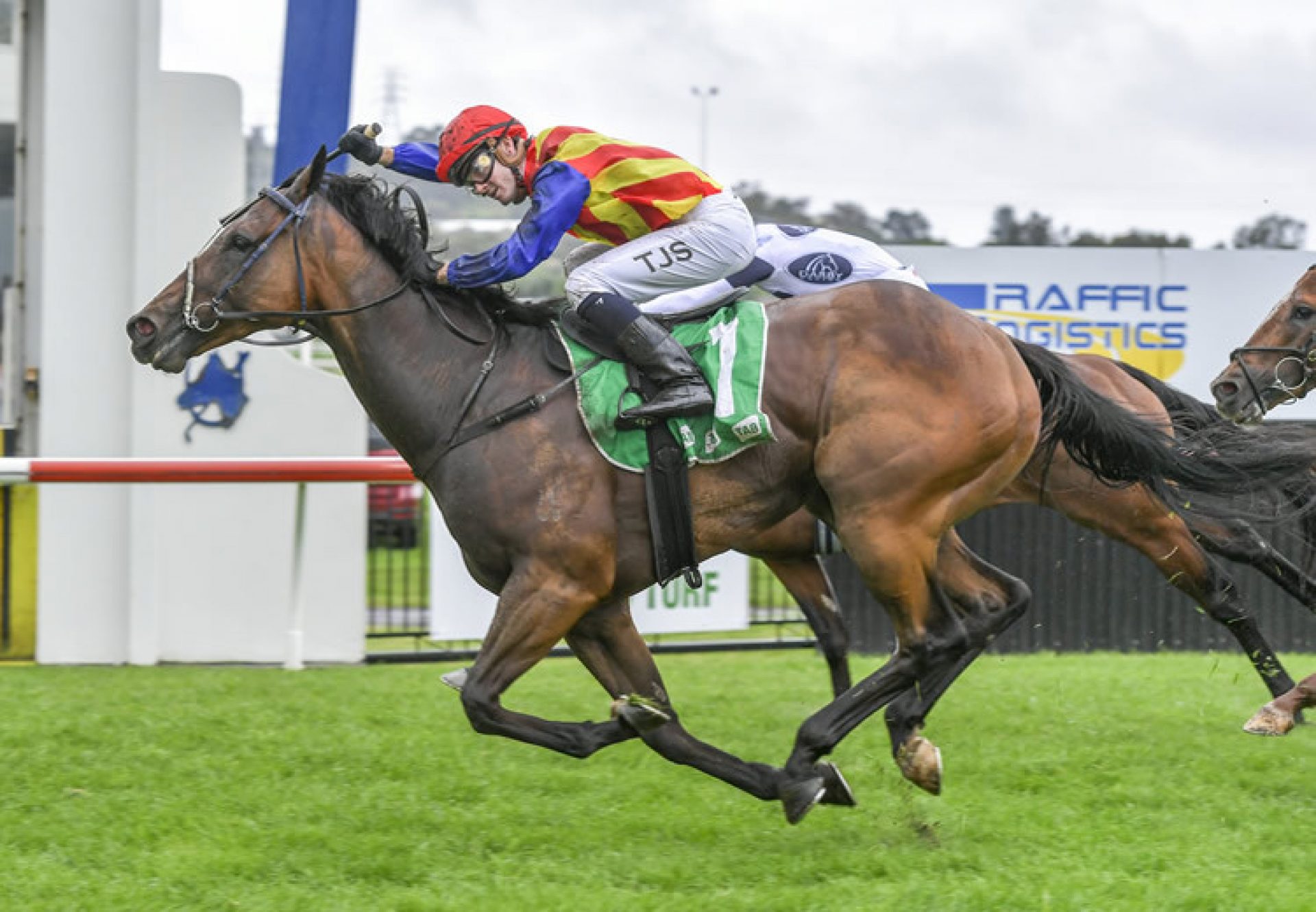 Eleven Eleven (Fastnet Rock) winning The Warra Sprint at Kembla