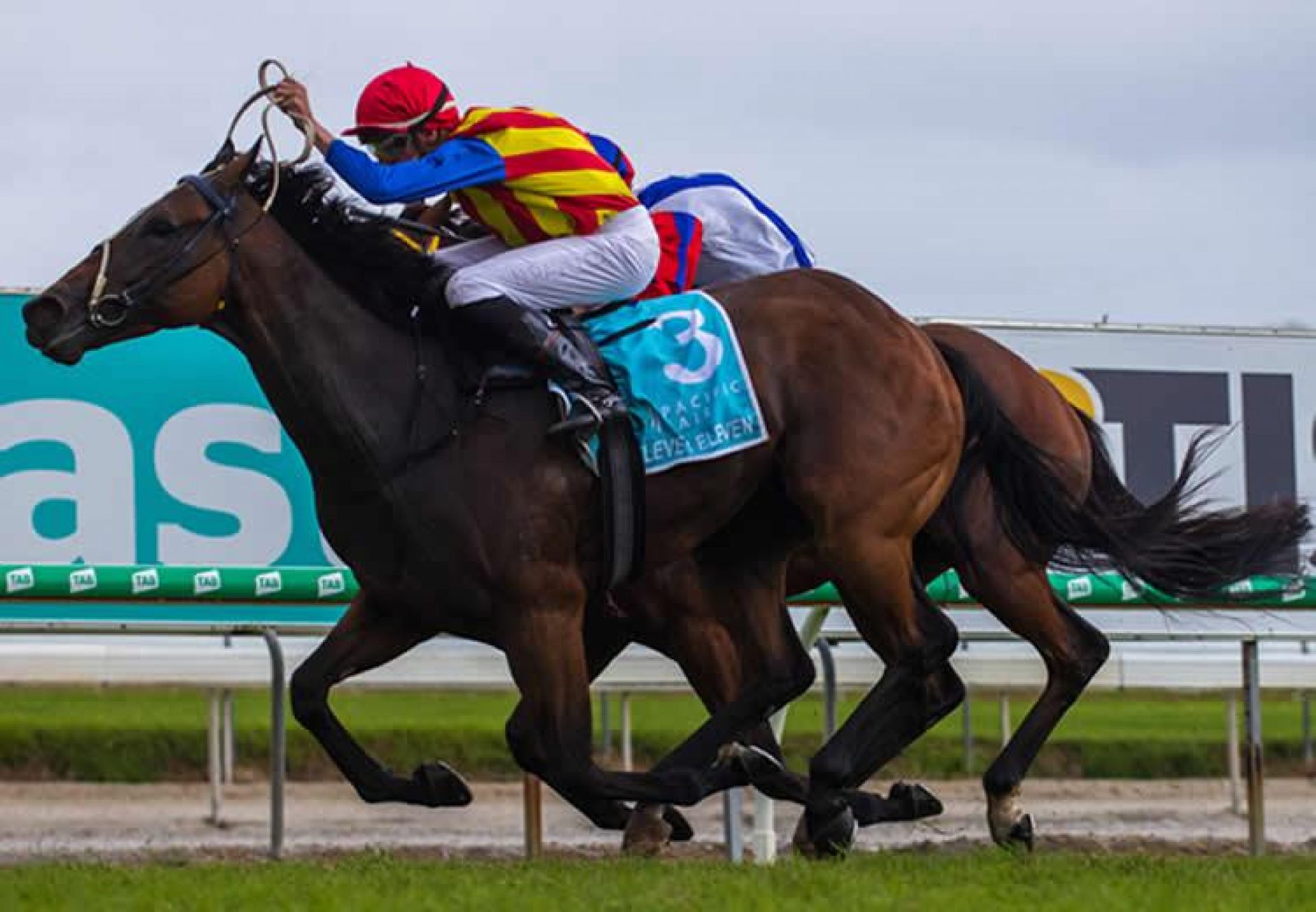 Eleven Eleven (Fastnet Rock) wins the Pacific Fair MM Cup at the Gold Coast