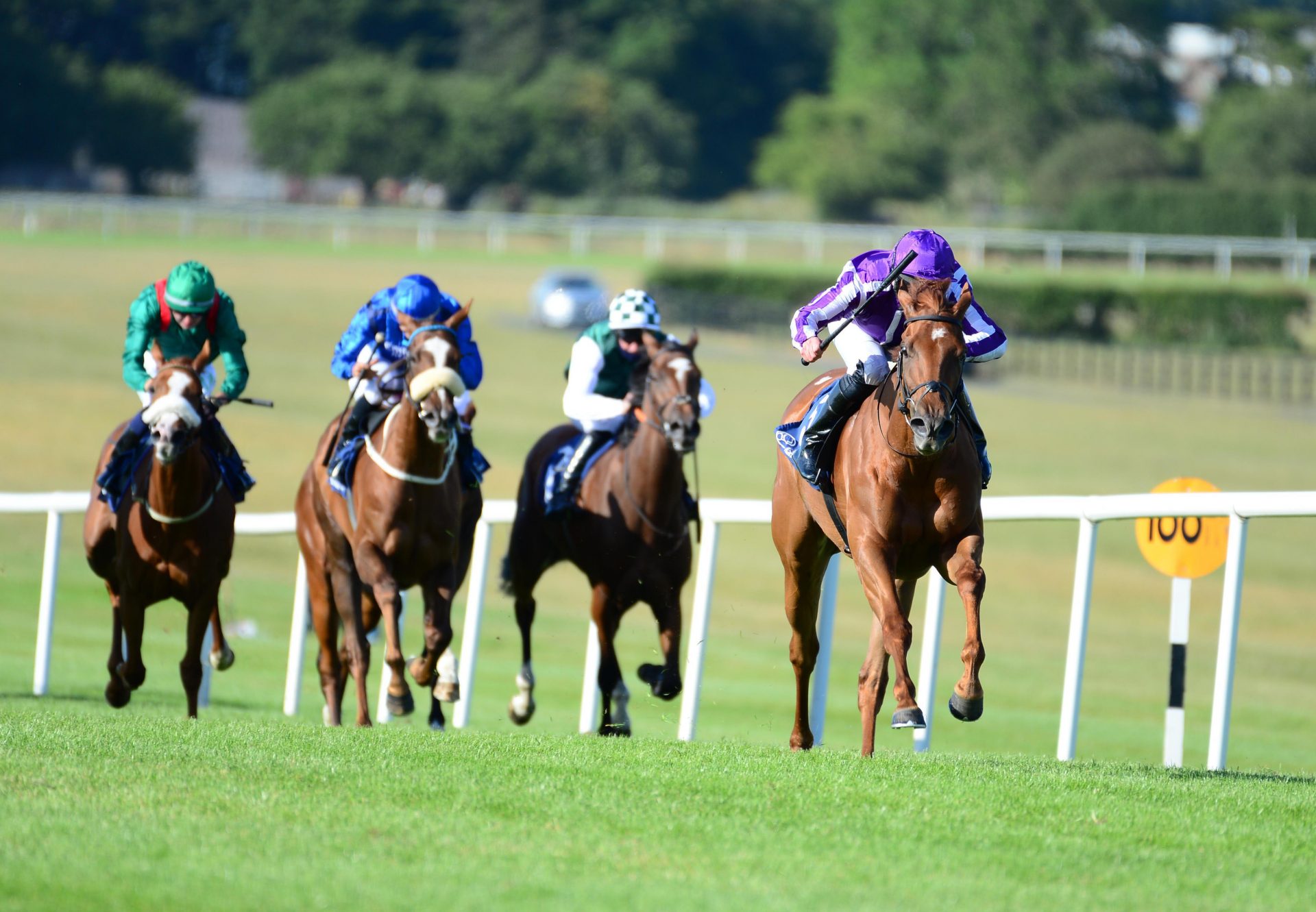 Elfin Queen (American Pharoah) Naas Victory