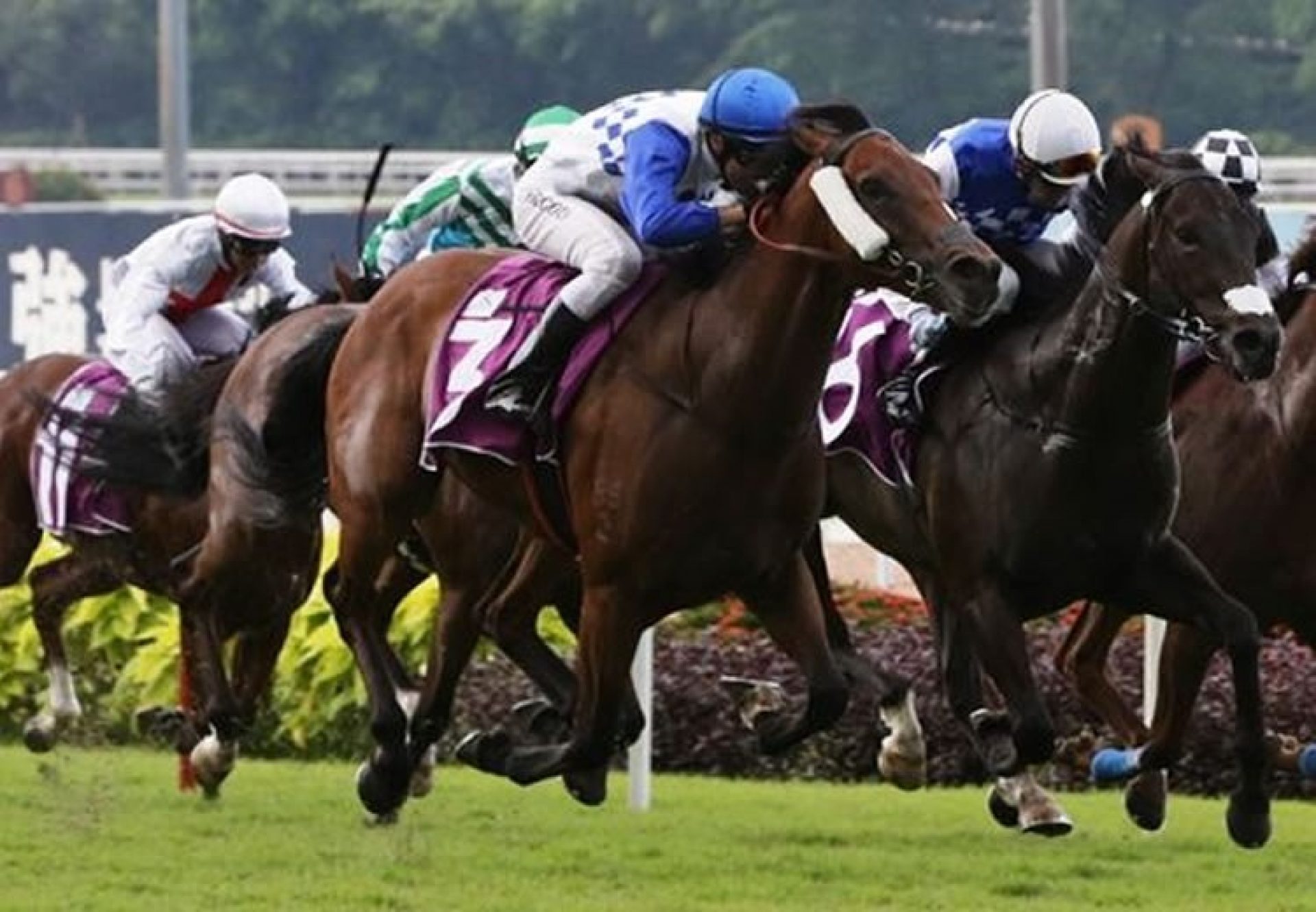 Elite Excalibur (Fastnet Rock) winning the G3 Committee’s Prize in SIngapore