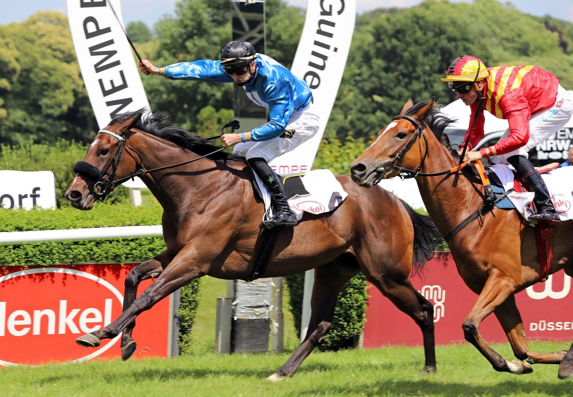 Elle Memory (Maxios) winning the Preis Dusseldorf