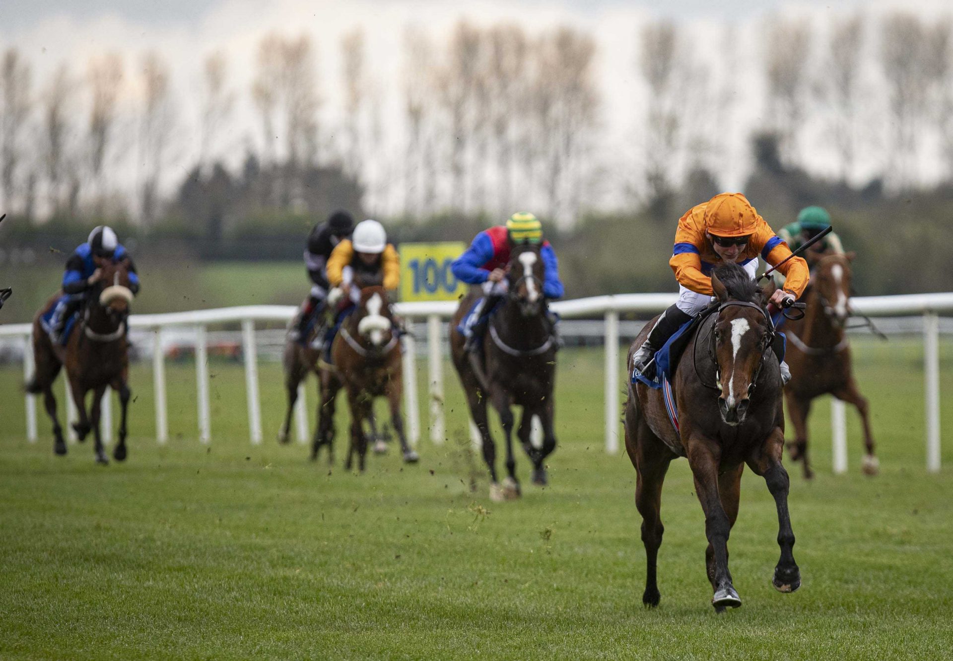 Elliptic (Caravaggio) Winning Tipperary Maiden