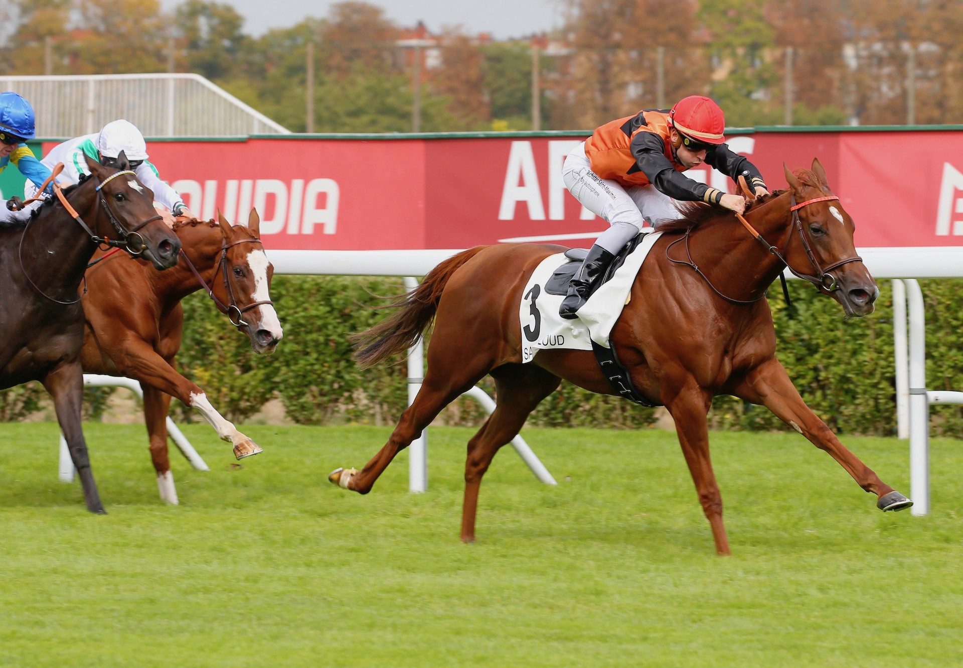 Elounda Queen (Australia) Wins At Saint Cloud