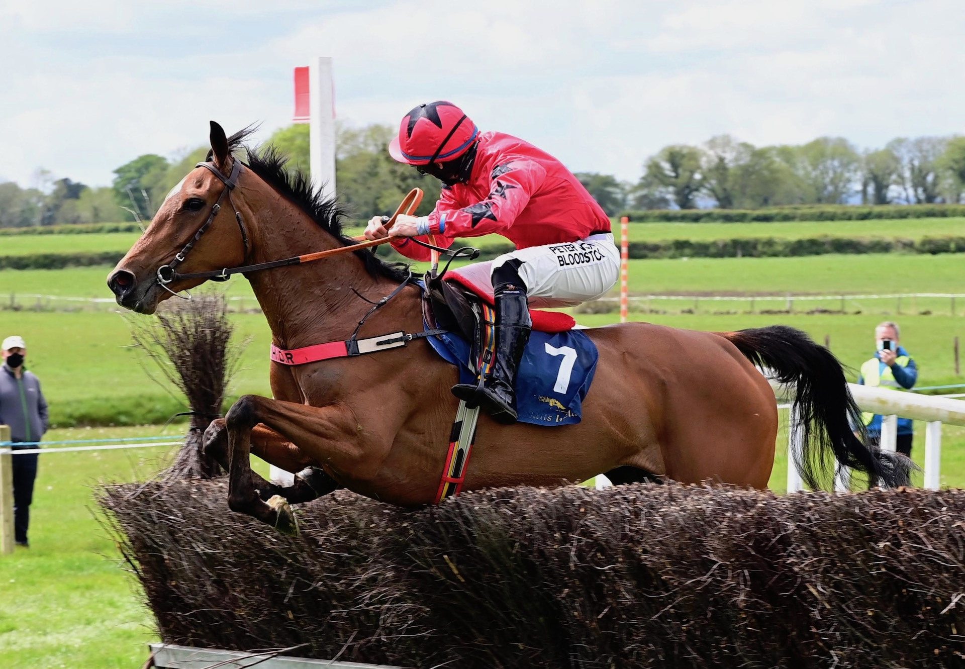 Emma Blue (Mahler) Wins The Mares 4 YO Maiden At Ballingarry