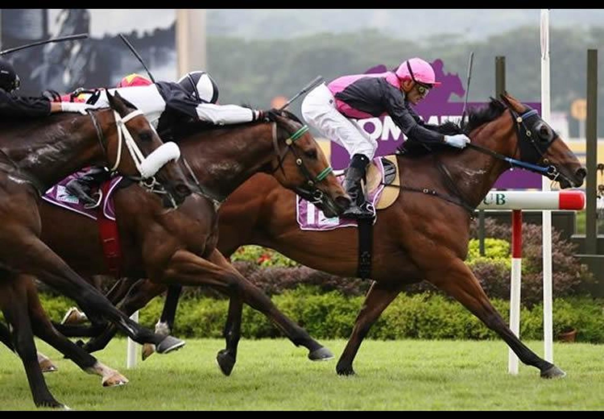 Emperor Max (Holy Roman Emperor) winning the Sng G3 Garden City Trophy in Singapore