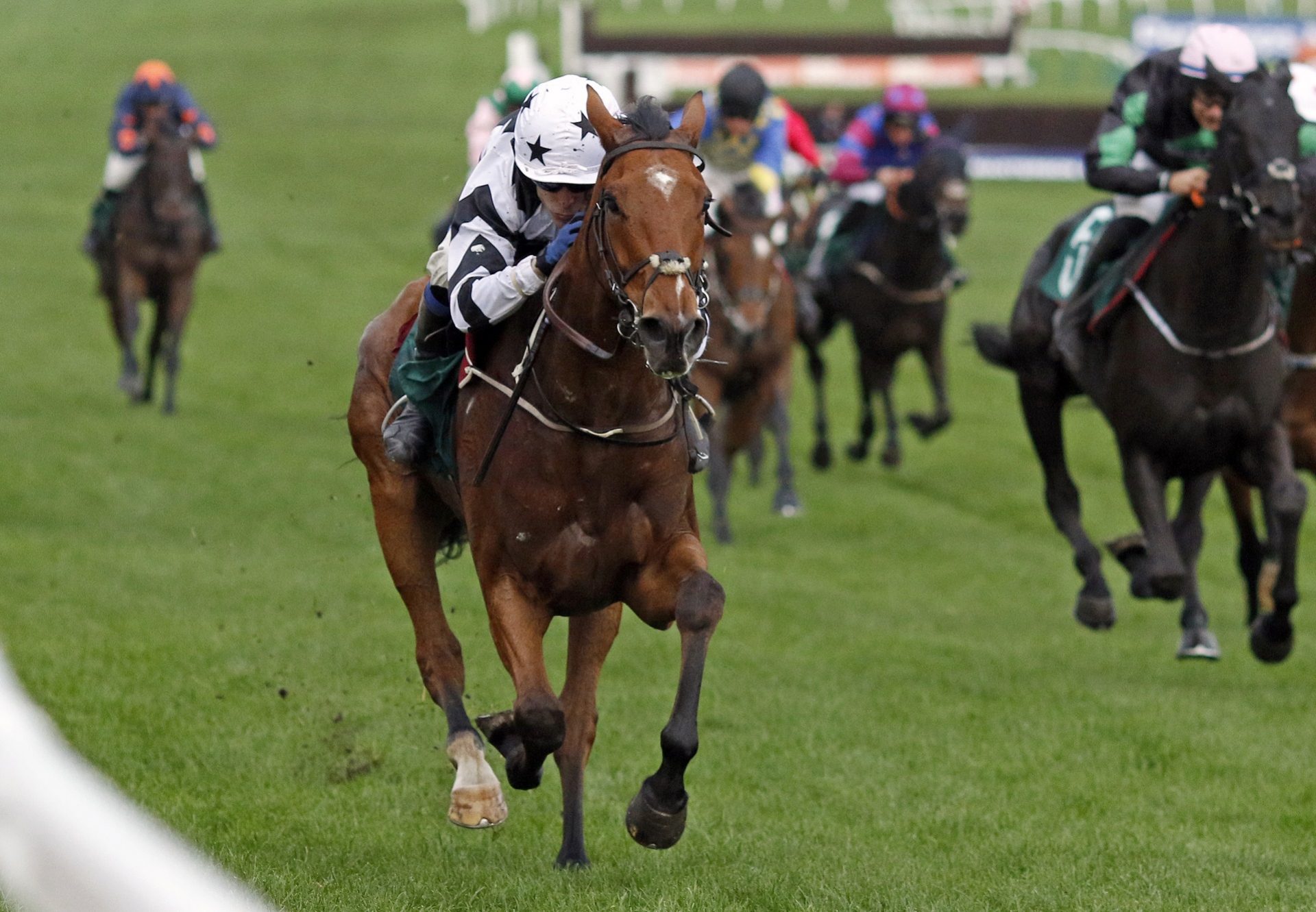 Encanto Bruno (Mahler) Winning A Bumper At Cheltenham