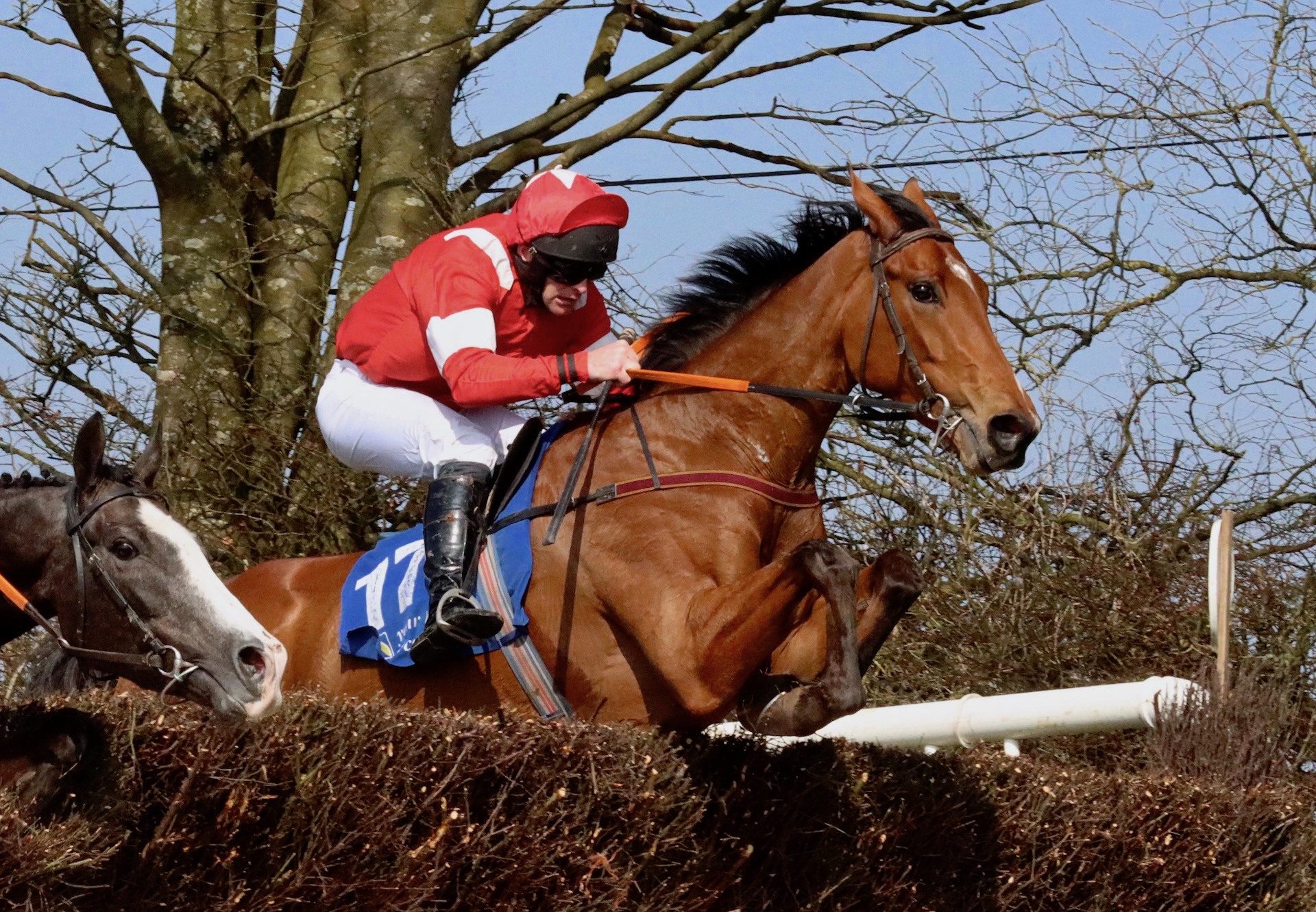 Encanto Bruno (Mahler) Makes A Winning Debut At Ballynoe