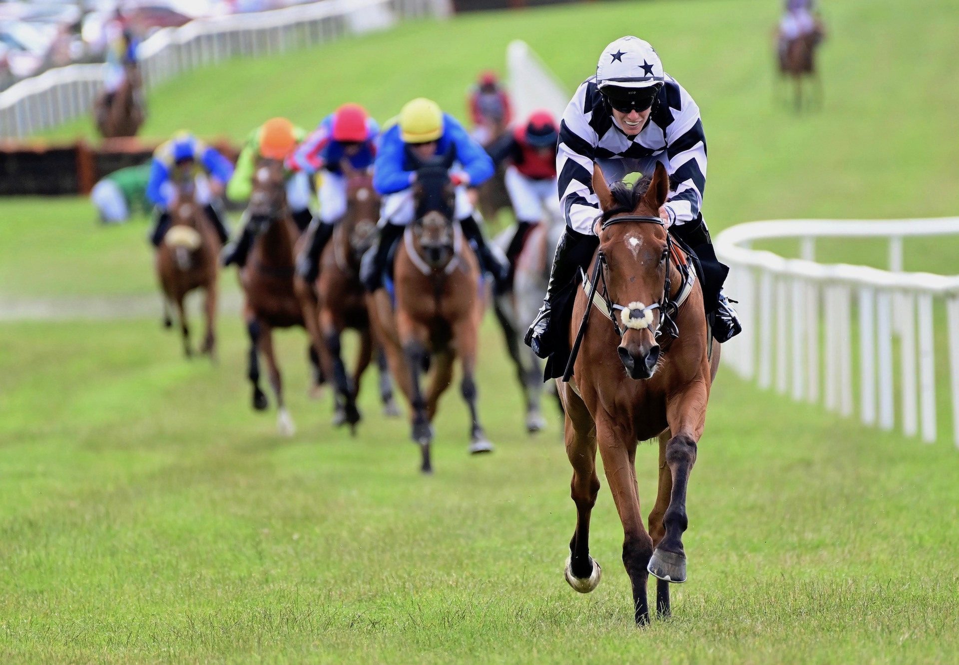 Encanto Bruno (Mahler) Wins The Maiden Hurdle At Bellewstown