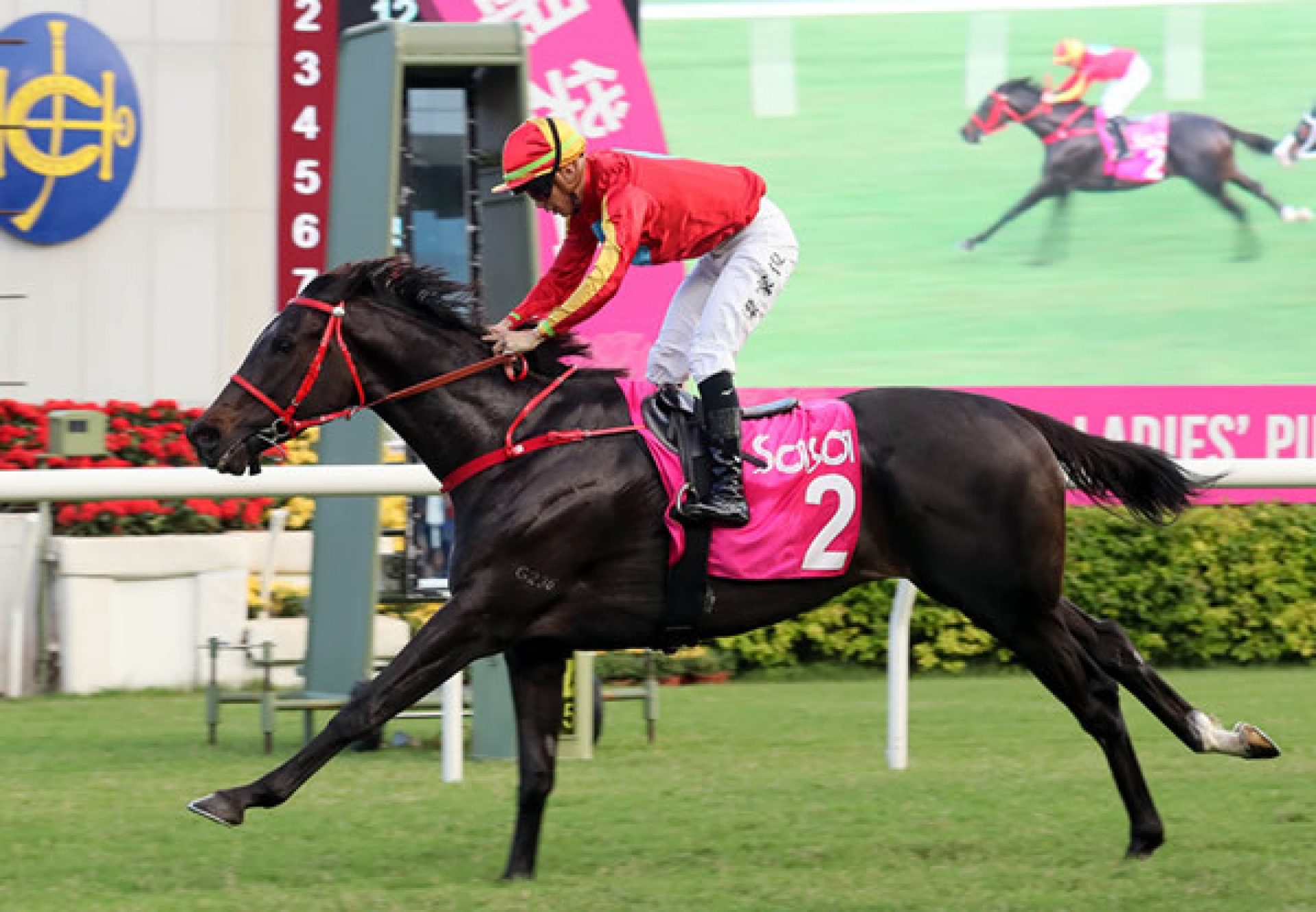 Encountered (Churchill) wins the Gr.3 Sa Sa Purse at Sha Tin