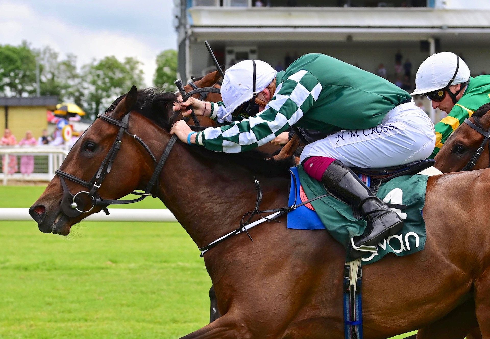 Endless Sunshine (Churchill) Wins On Debut at Navan