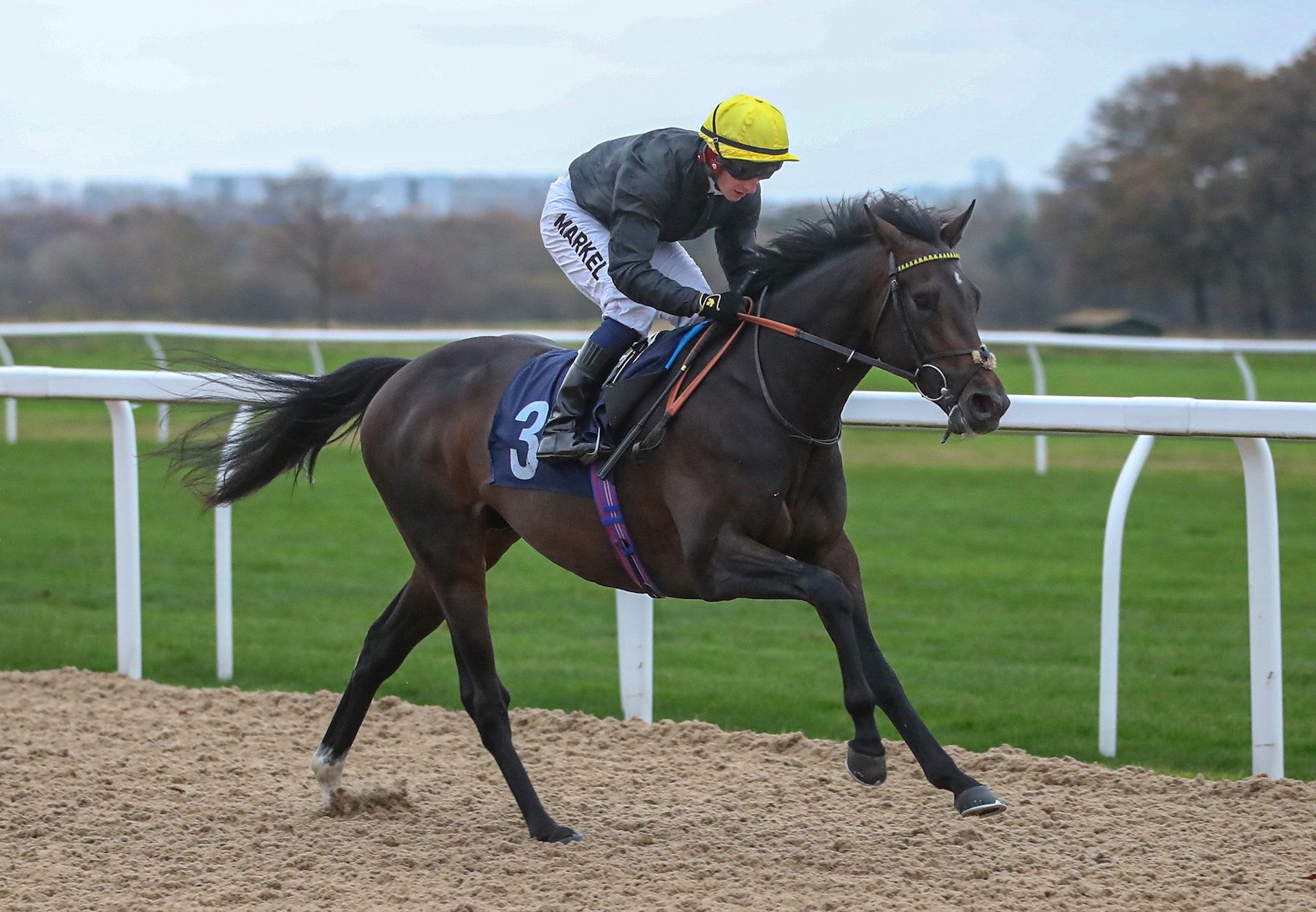 English King (Camelot) Wins His Maiden at Newcastle