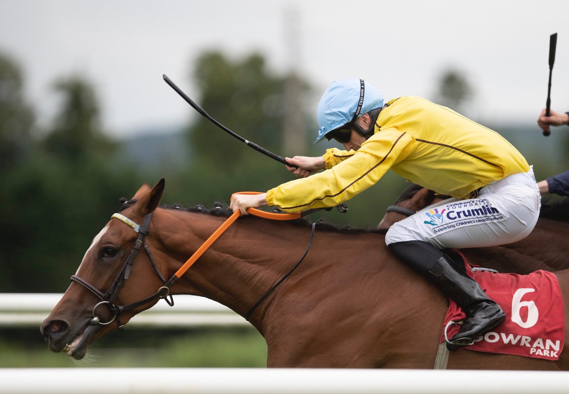 Epona Plays (Australia) Wins Her Maiden At Gowran Park