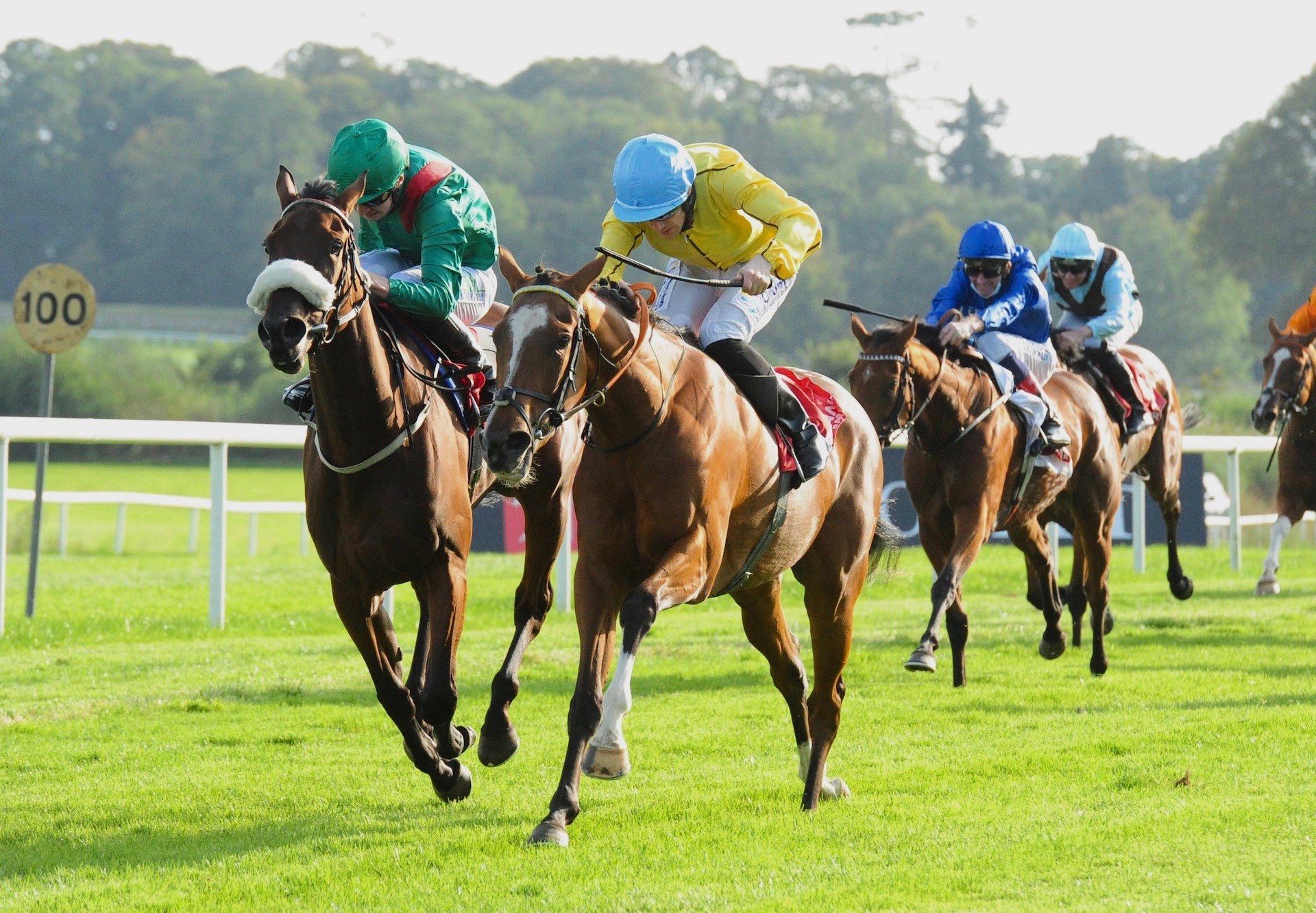 Epona Plays (Australia) Wins The Group 3 Lanwade Stud Stakes At Gowran