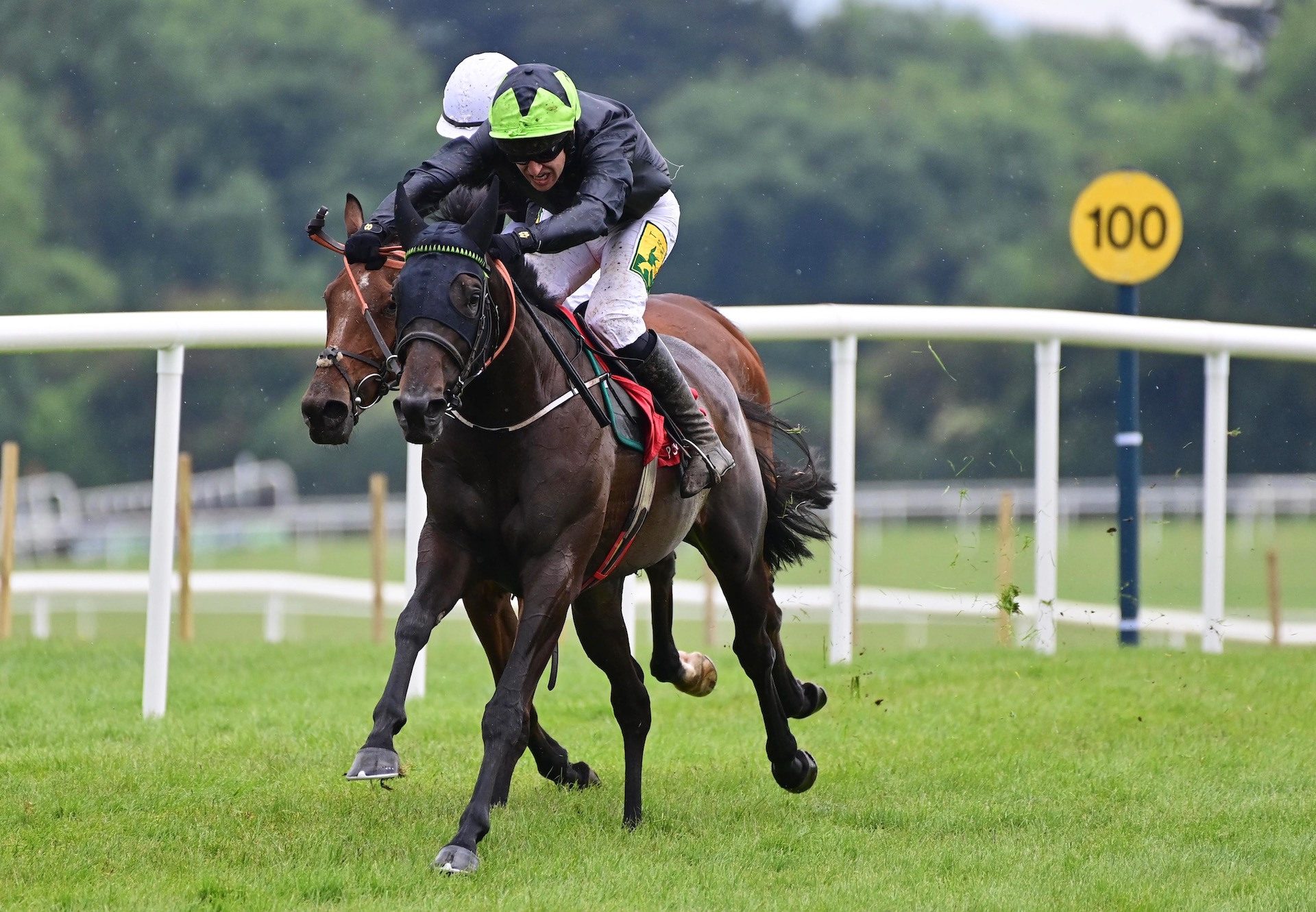 Eve Moneypenny (Westerner) Wins The Maiden Hurdle At Punchestown