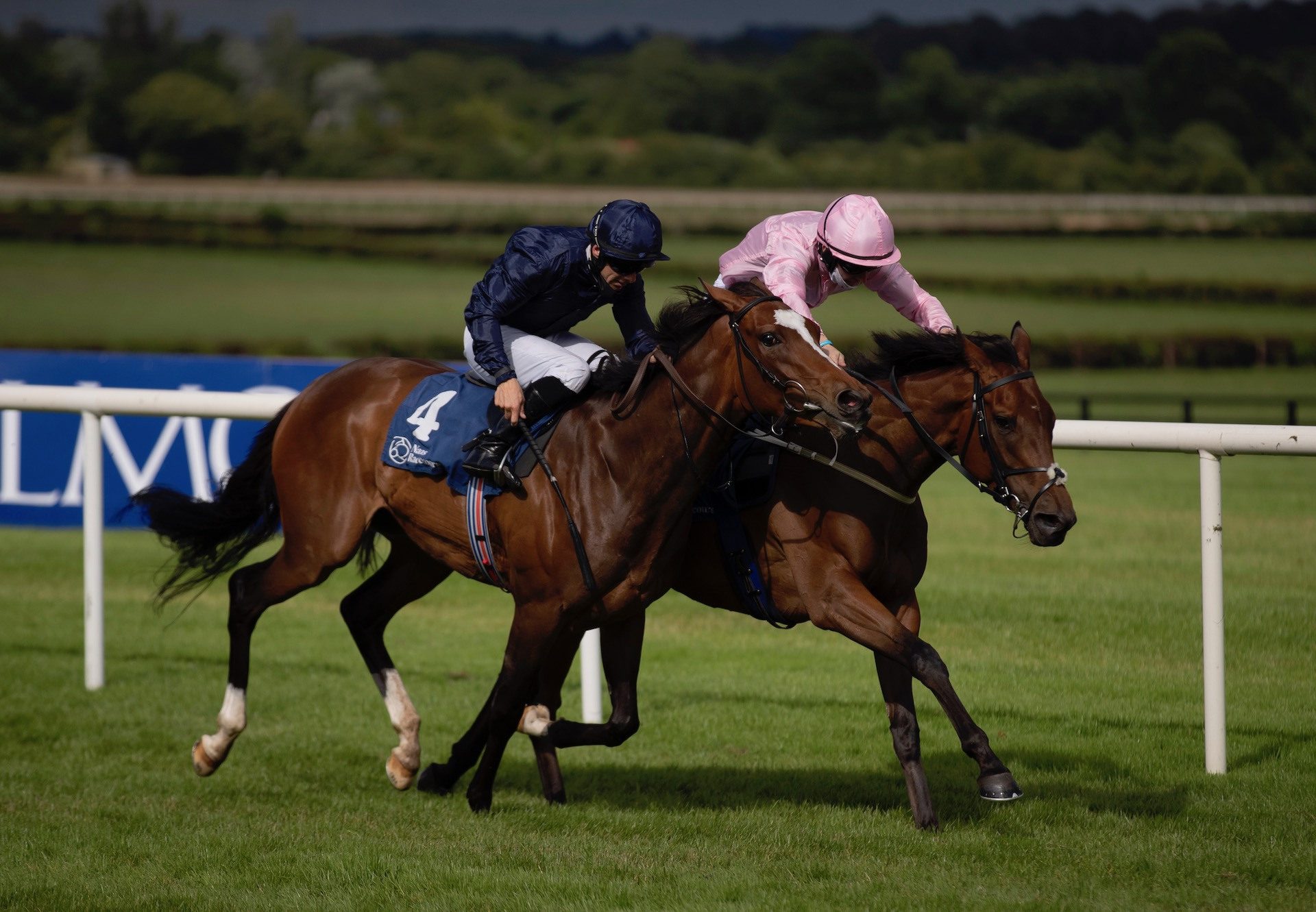 Even So (Camelot) Wins The Listed Oaks Trial at Naas