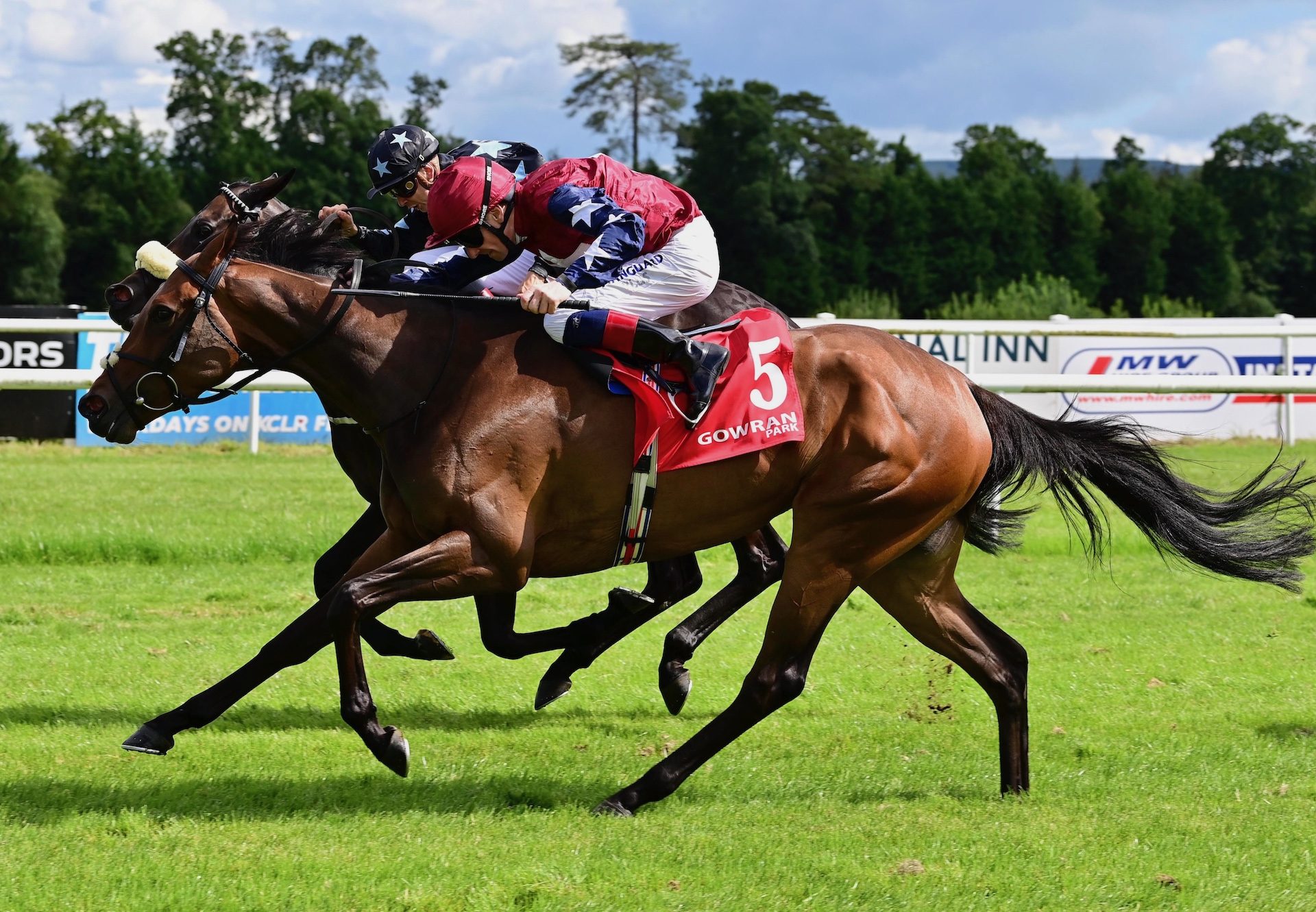 Evening Blossom (Australia) Wins Her Maiden At Gowran Park