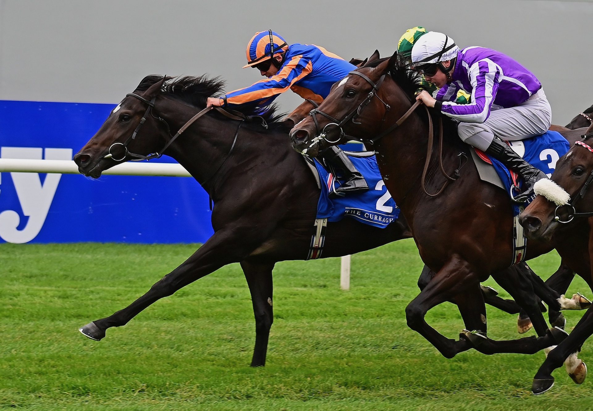 Expanded Wins On Debut At The Curragh