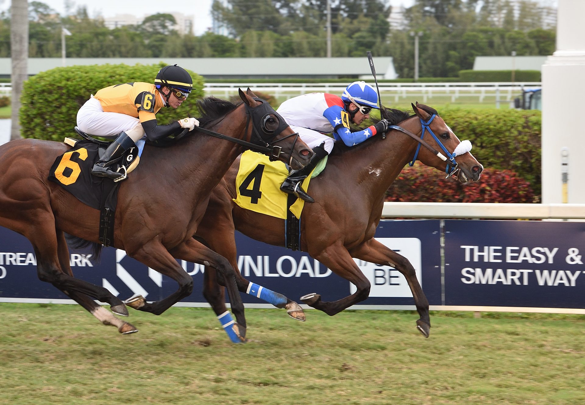 Express Pharoah (American Pharoah) Gulfstream Park Maiden