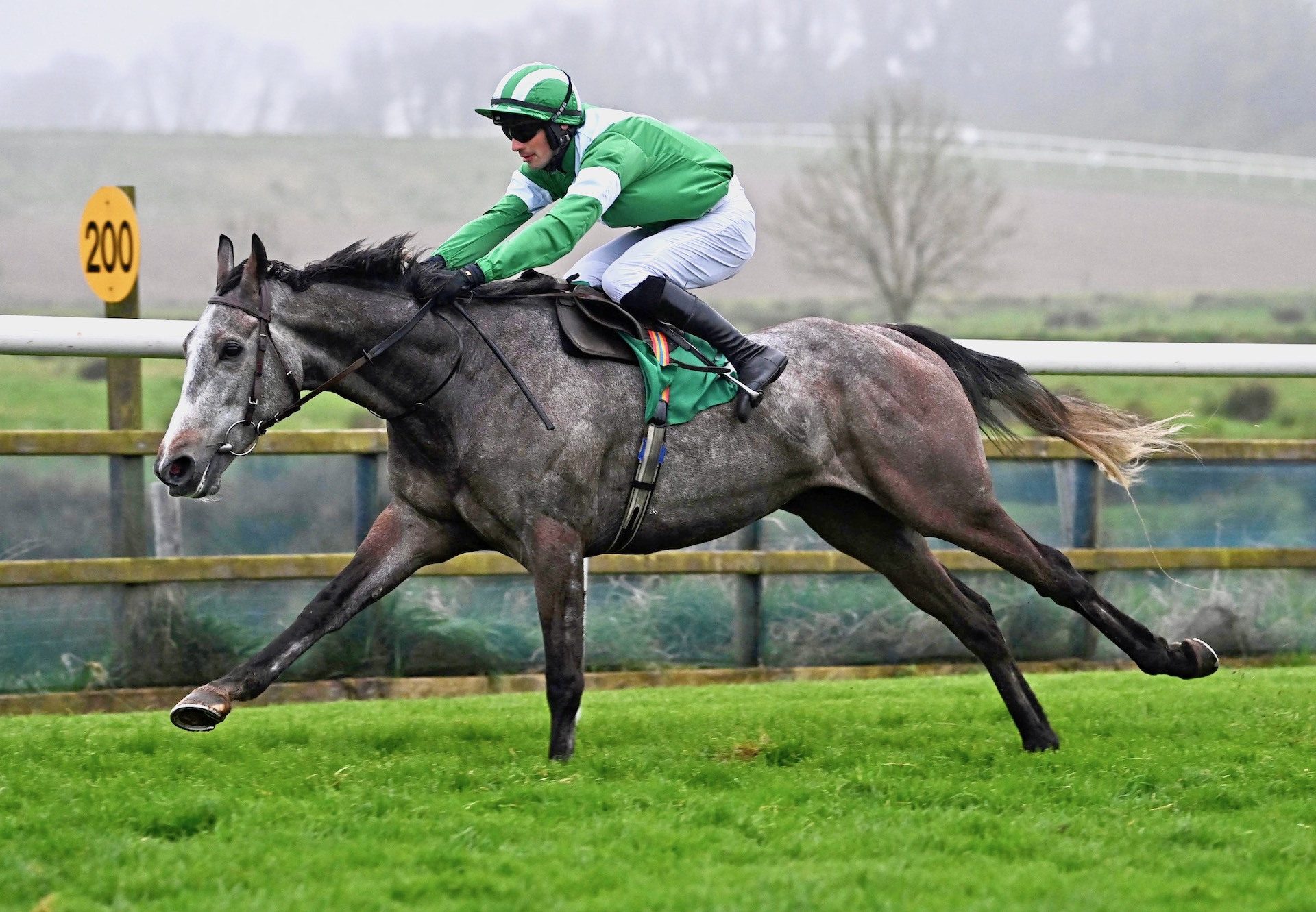 Extrapolation (Mahler) Wins The Bumper At Downpatrick