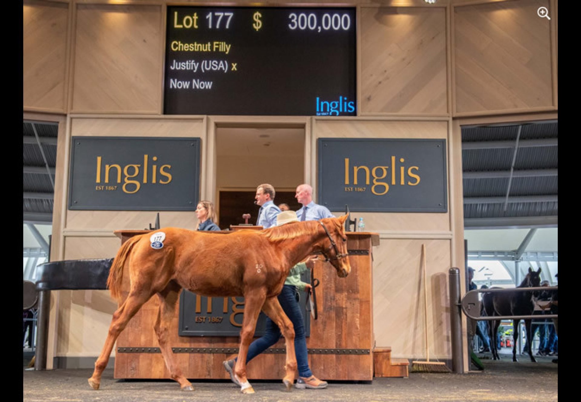 A$300,000 Filly Leads Justify In Australia