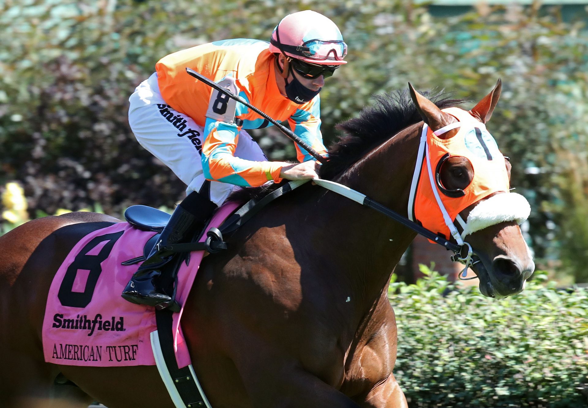 Fancy Liquor (Lookin At Lucky) Wins Gr.2 American Turf Stakes at Churchill Downs