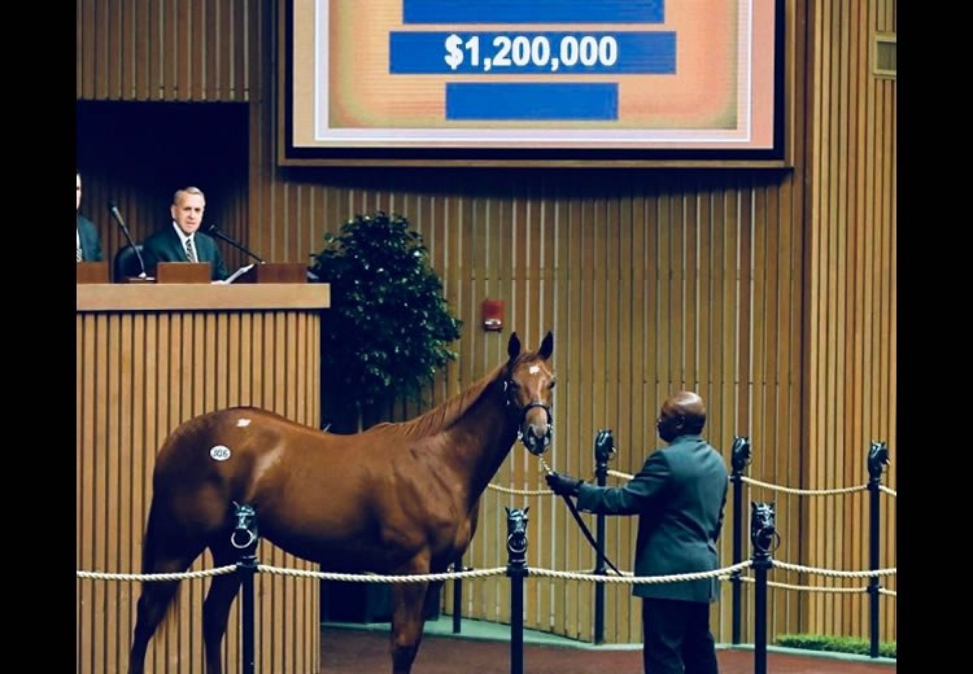 American Pharoah ex Pretty N Smart yearling filly selling for $1.2 million at Keeneland