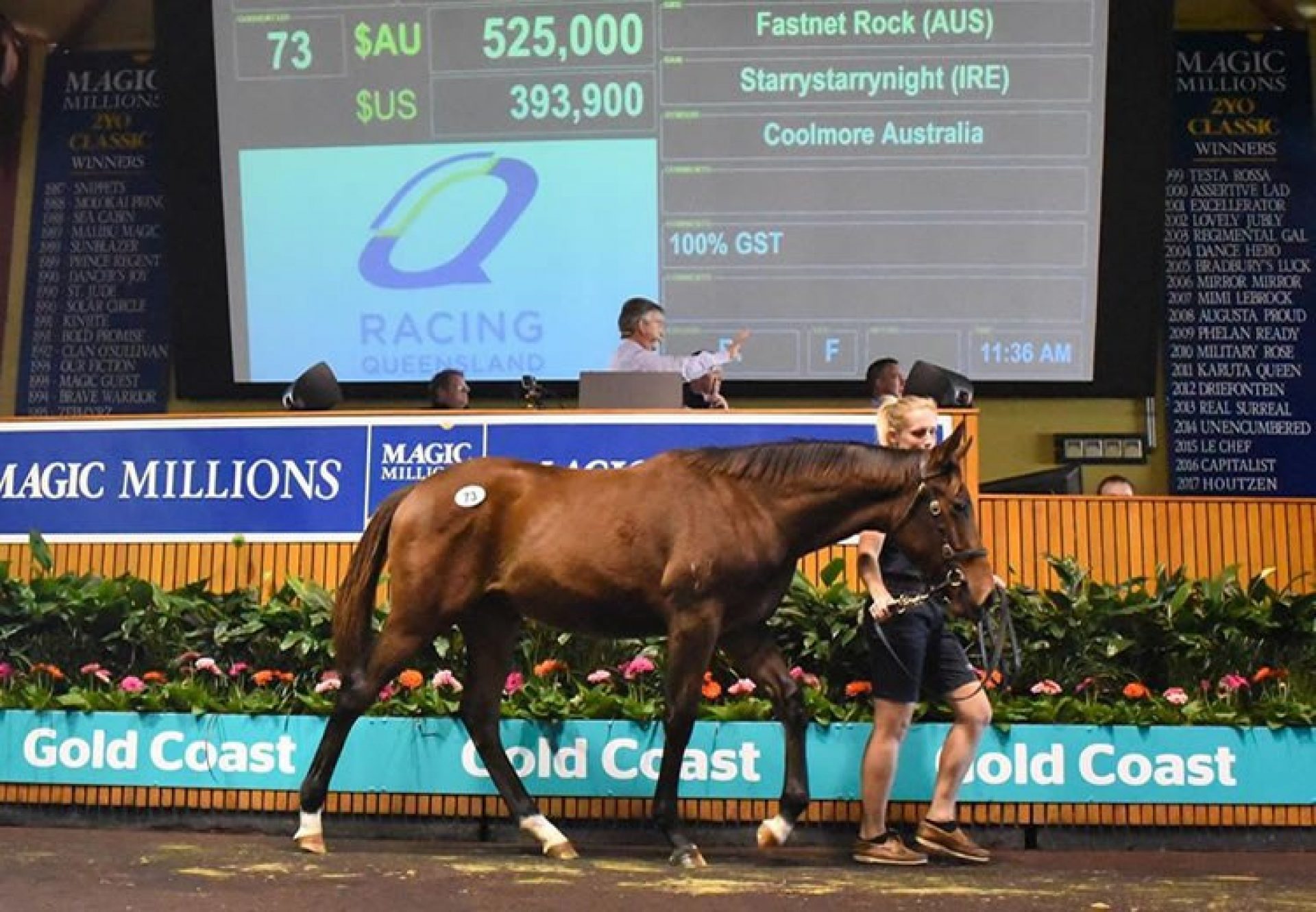 Fastnet Rock x Starry Starry Night