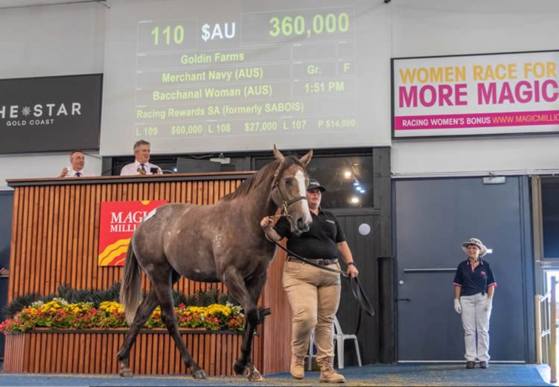 Merchant Navy X Bacchanal Woman yearling filly