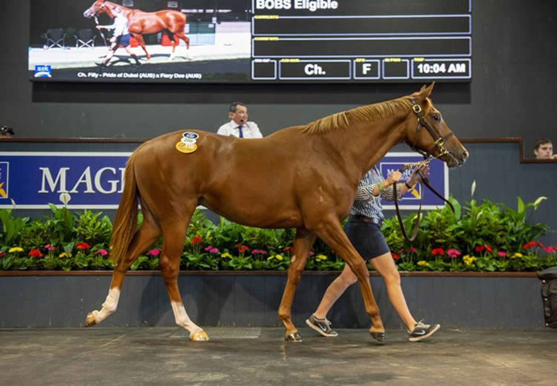 Pride Of Dubai ex Fiery Dee yearling filly