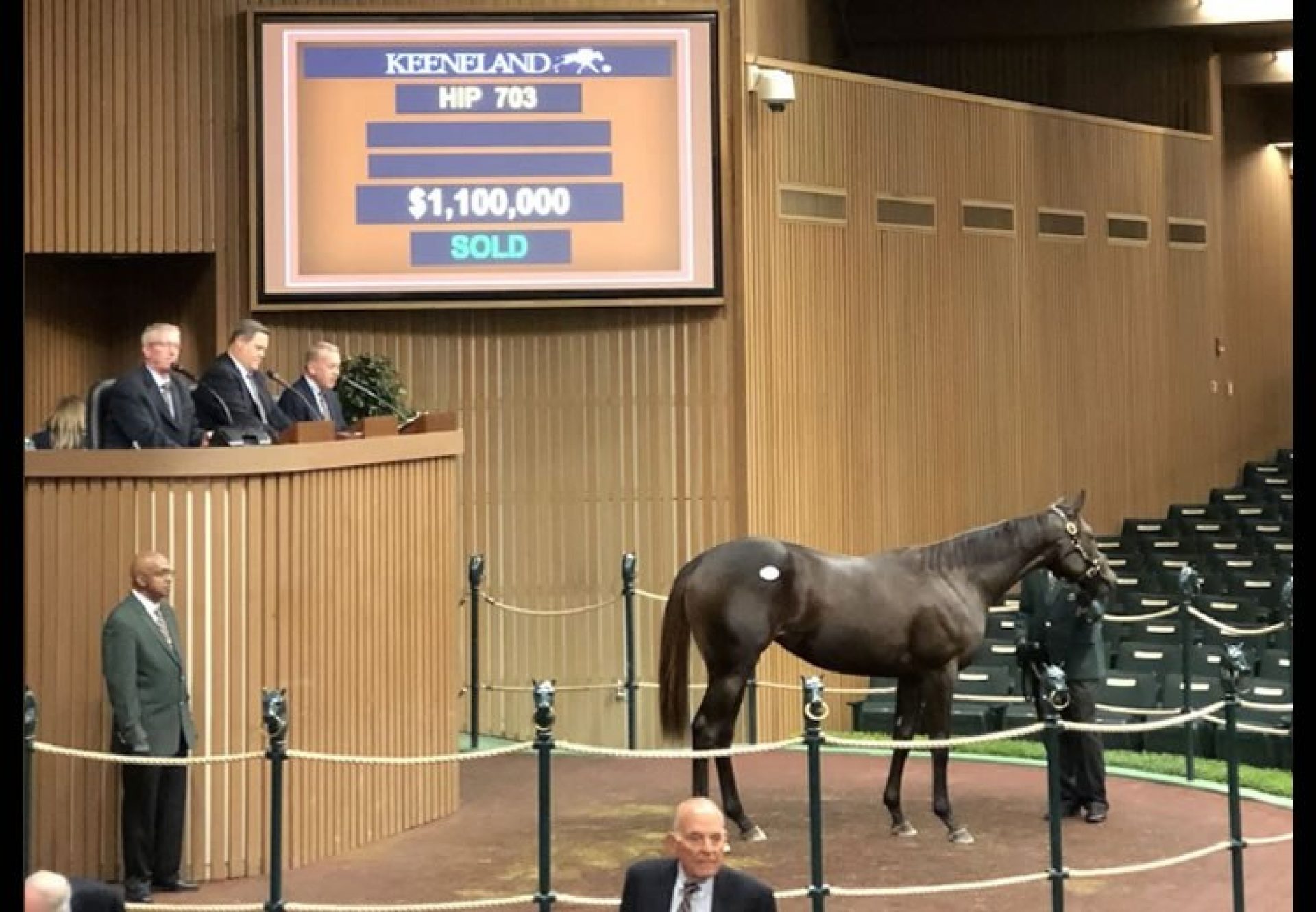 Uncle Mo ex Bizzy Caroline yearling filly selling for $1.1 million