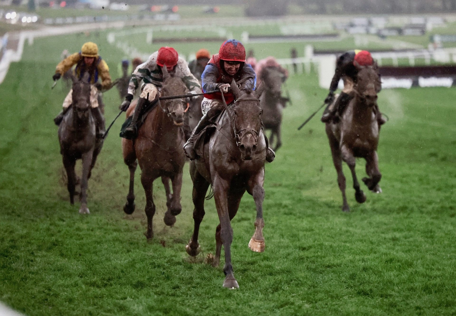 Facile Vega (Walk In The Park) Takes The Grade 1 Champion Bumper At Cheltenham