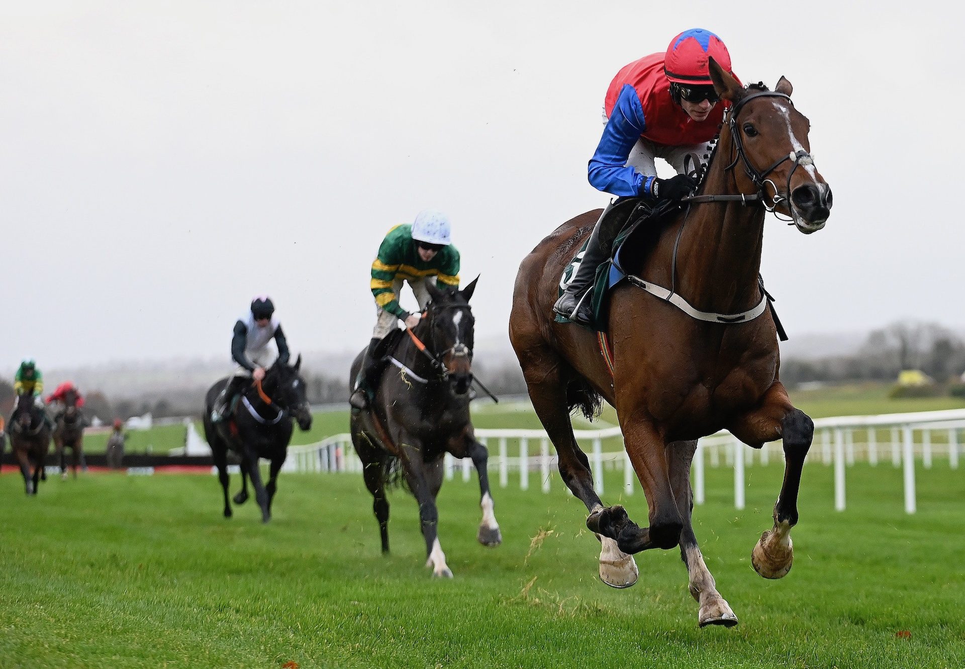 Facile Vega (Walk In The Park) Wins The Beginners Chase At Navan