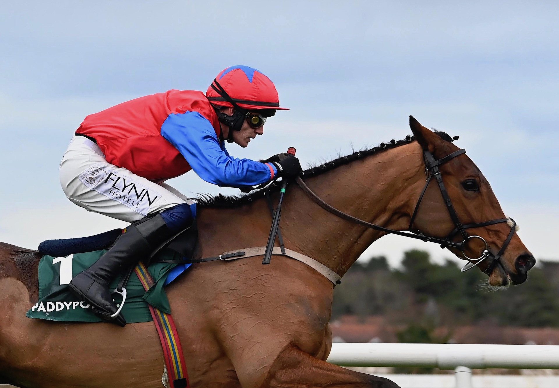 Facile Vega (Walk In The Park) Wins The Grade 1 Future Champions Novice Hurdle at Leopardstown