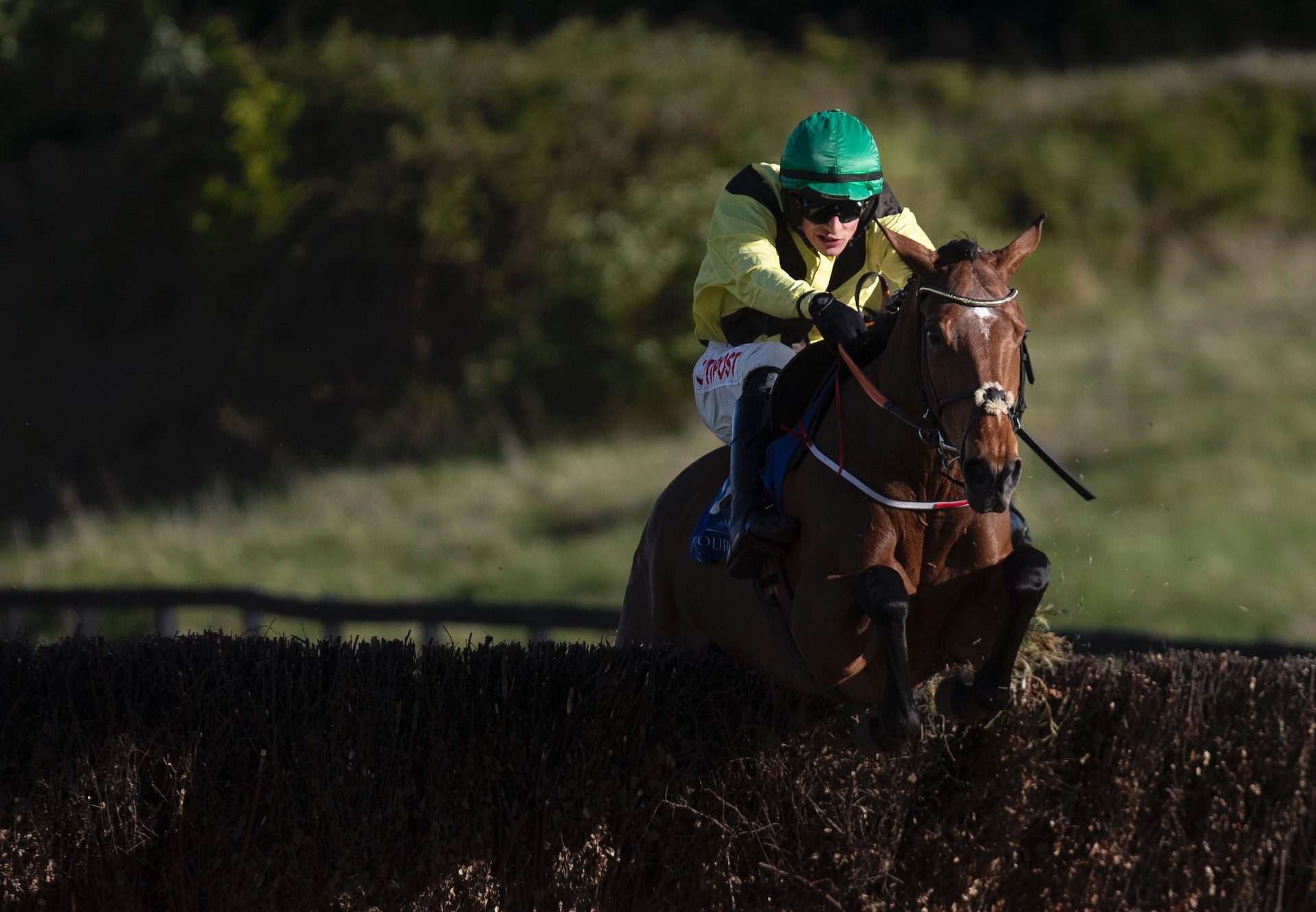 Fairyhill Run (Mahler) Lands The Beginners Chase At Limerick