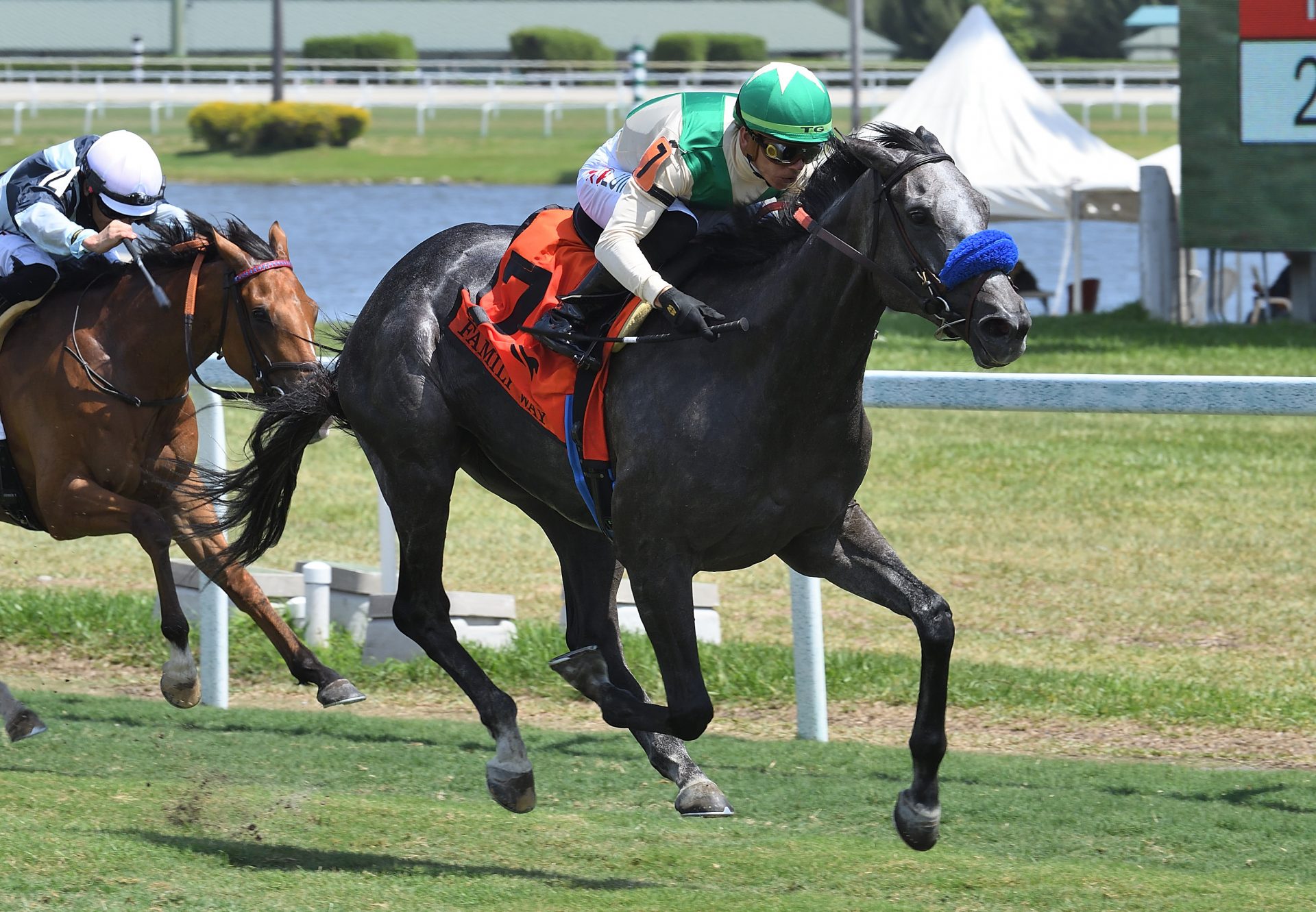 Family Way (Uncle Mo) Gr.3 Orchid Stakes at Gulfstream Park