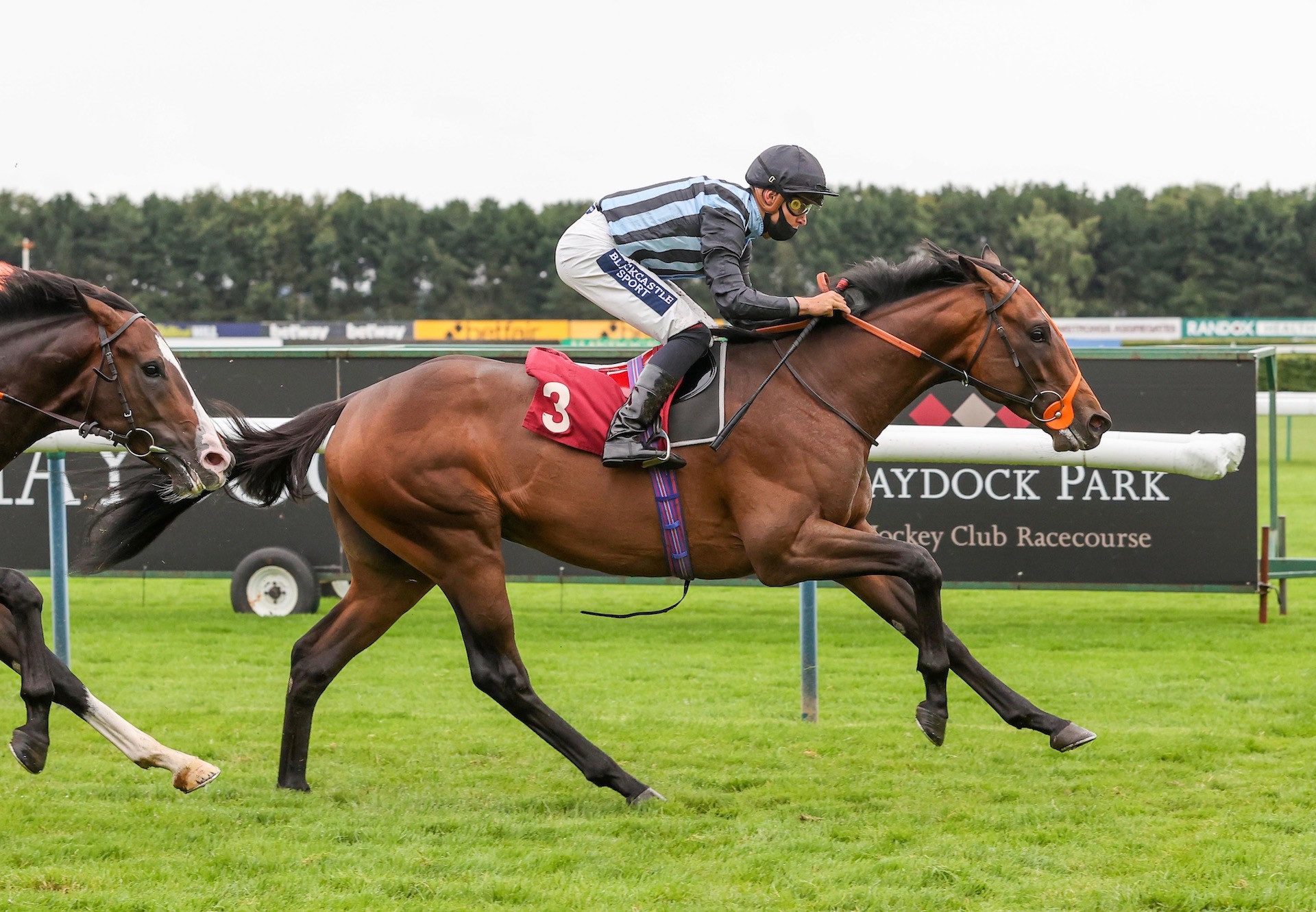 Fancy Man (Pride Of Dubai) Wins On Debut at Haydock