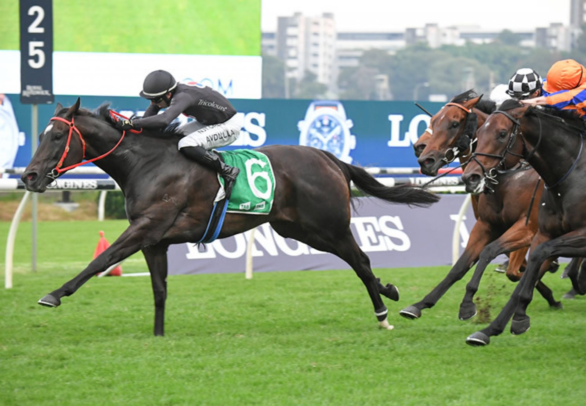 Fasika (So You Think) wins the Gr.2 Sapphire at Randwick