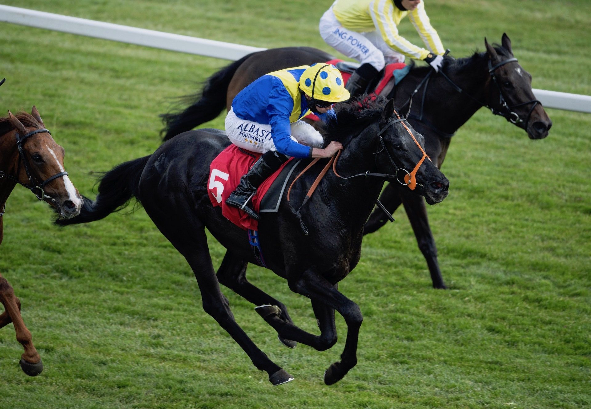 Fast Steps (Footstepsinthesand) Wins The Novice Stakes At Epsom