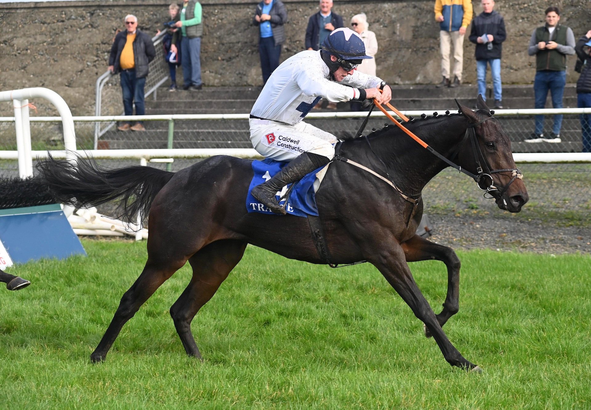 Faux Fur (Wings Of Eagles) Wins The Mares Maiden Hurdle At Tramore