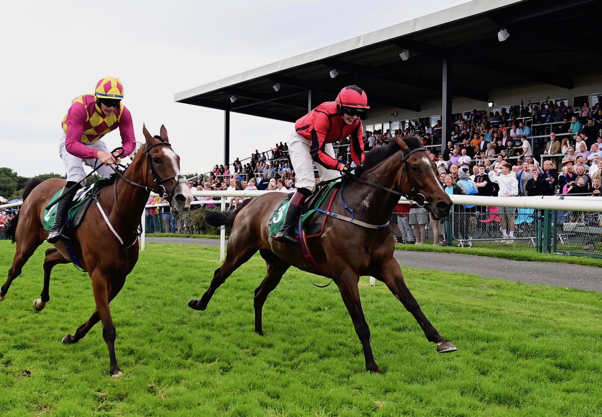 Feast (Walk In The Park) Wins The Bumper At Downpatrick