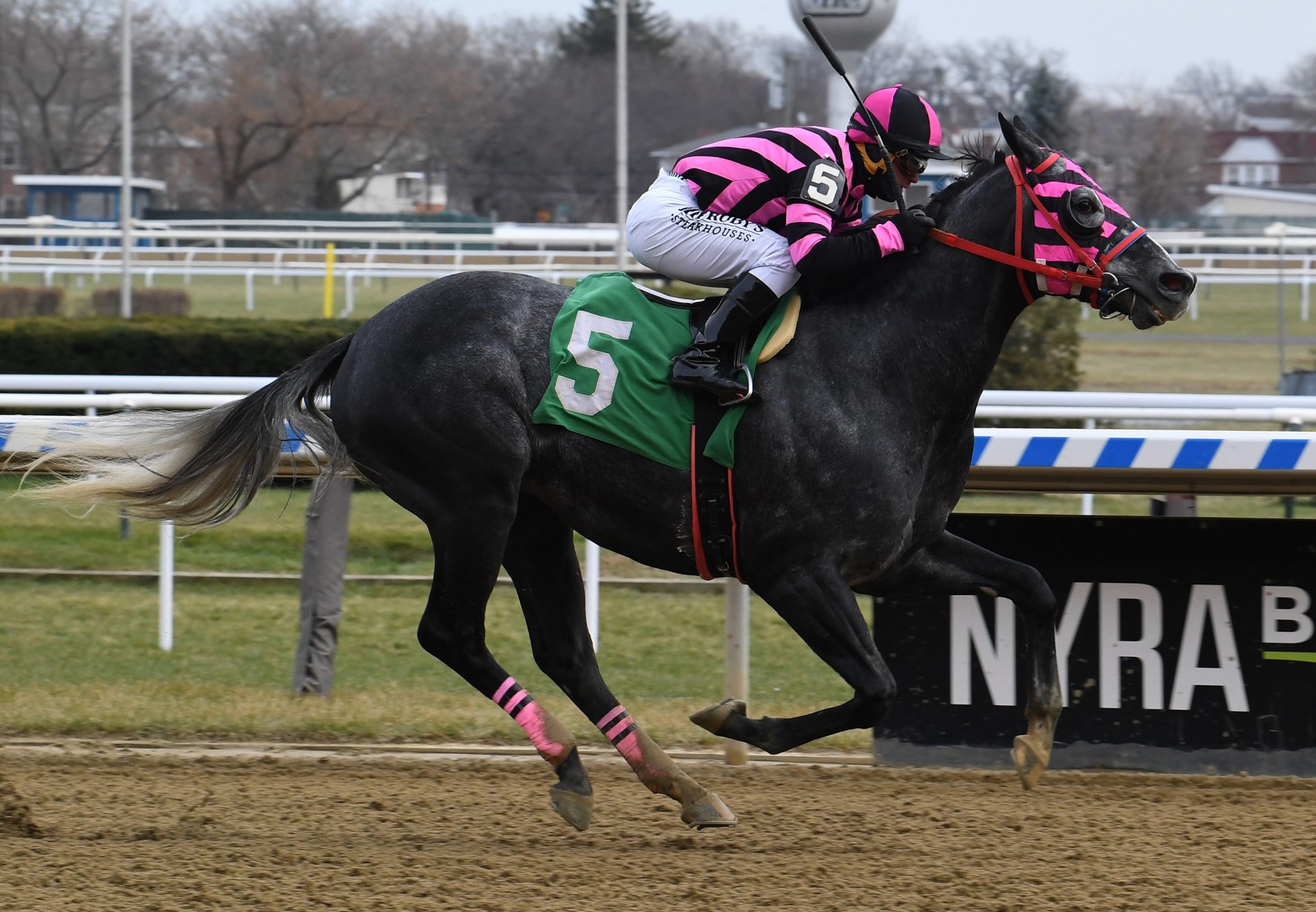 Felix In Fabula (Tale Of The Cat) Winning Aqueduct Allowance