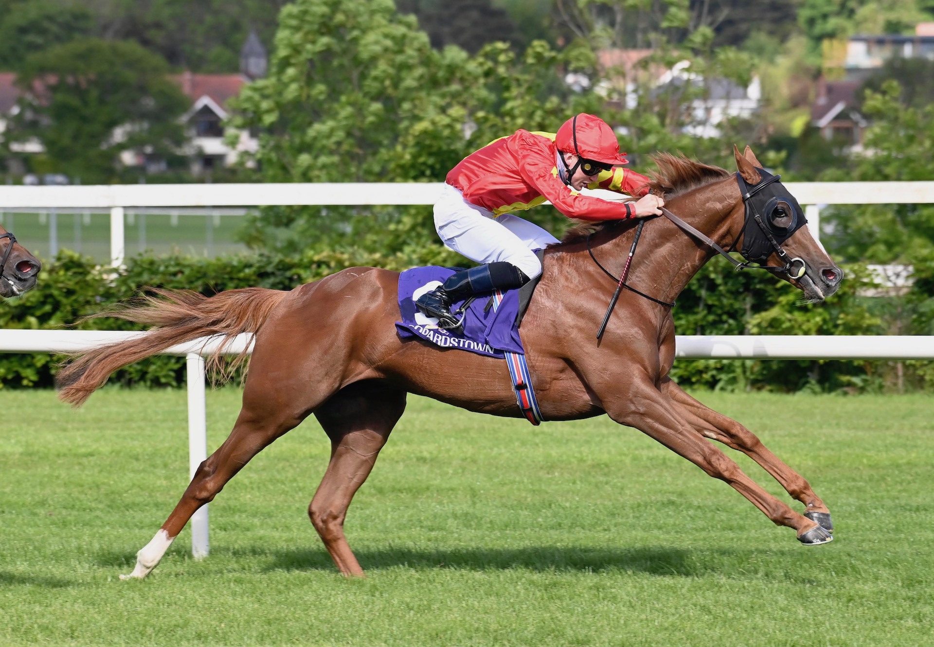 Fernando Vichi (Australia) Wins The Listed Nijinsky Stakes At Leopardstown