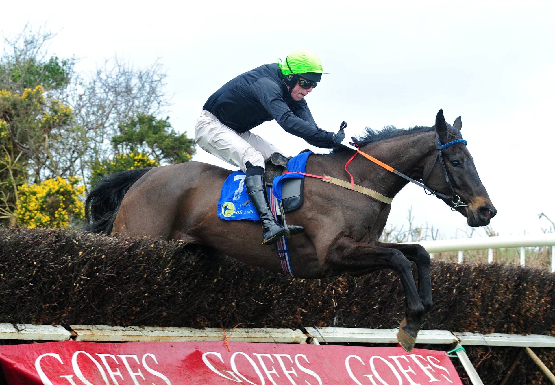 Ferny Hollow Becomes The Latest Winner By Westerner When Winning His First Start At Knockanard